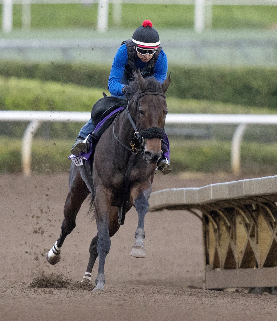 By the Moon works at Santa Anita on Oct. 31