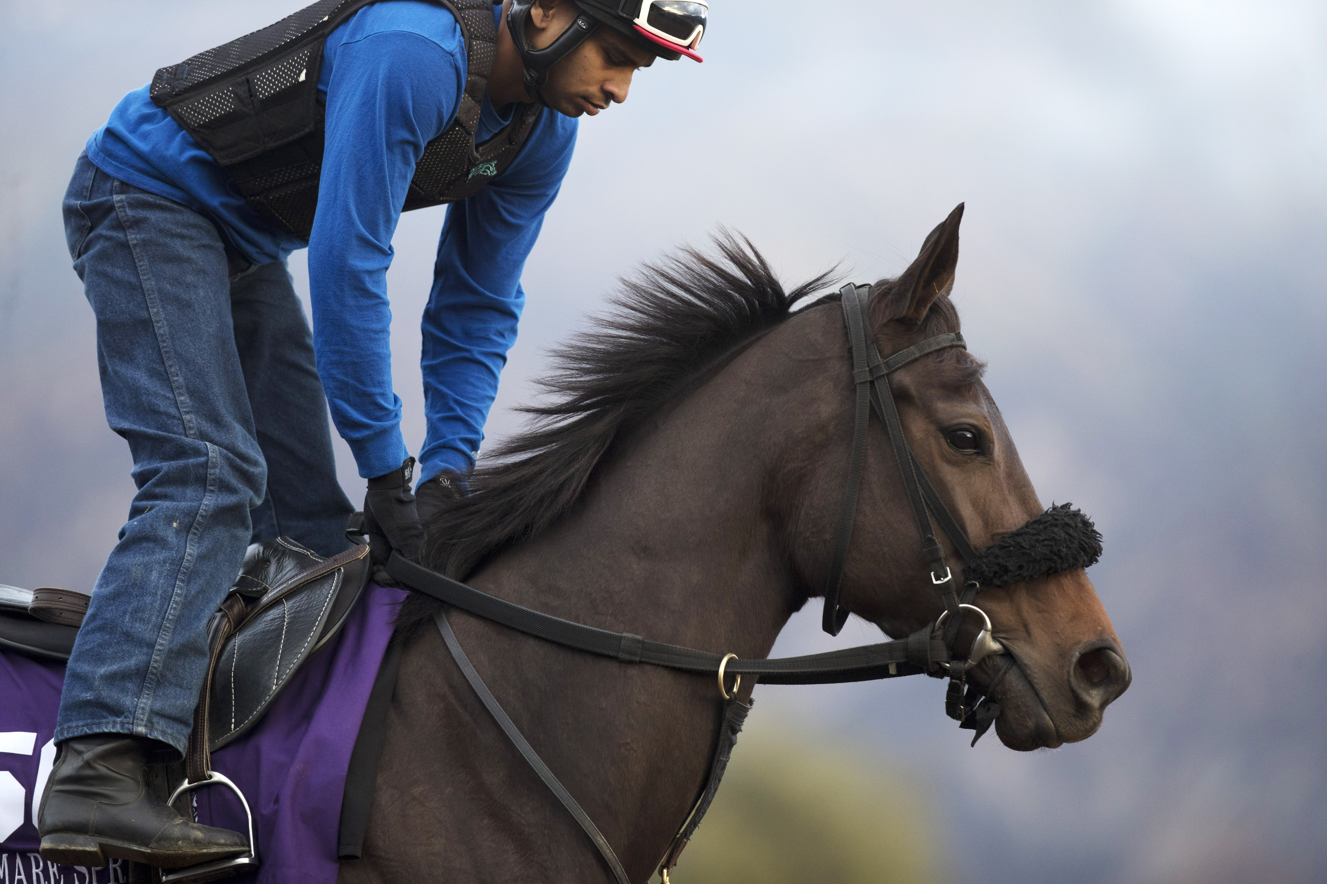 By the Moon trains at Santa Anita in October 2016