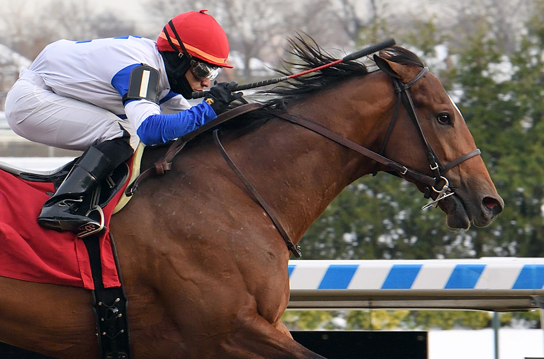 By George wins a Dec. 19 maiden race at Aqueduct Racetrack