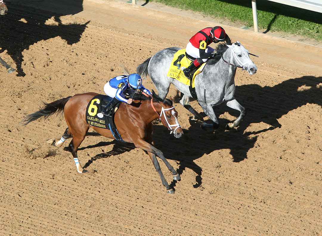By My Standards (6) wins the Oaklawn Mile at Oaklawn Park