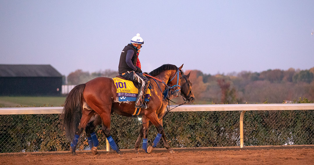 By My Standards at Keeneland Racecourse on Nov. 5