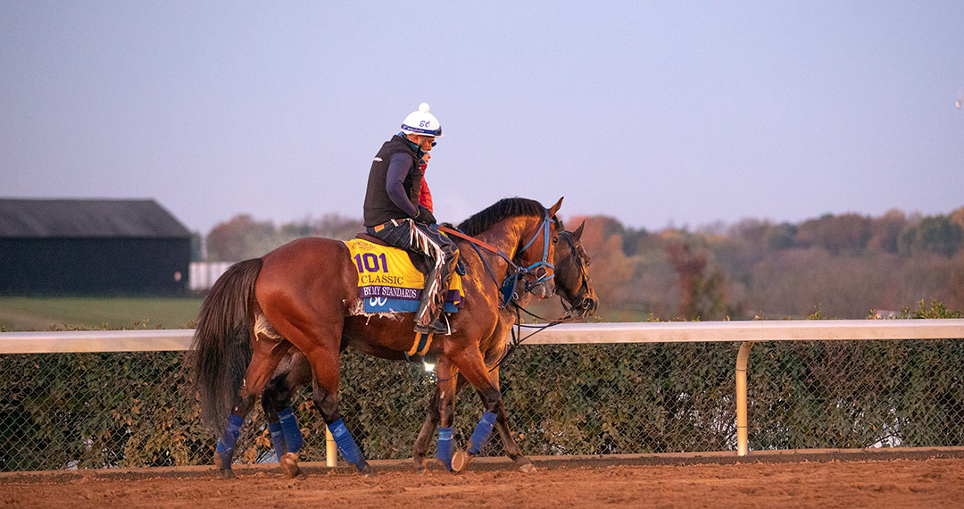 By My Standards at Keeneland Racetrack before the Breeders' Cup, Nov. 5