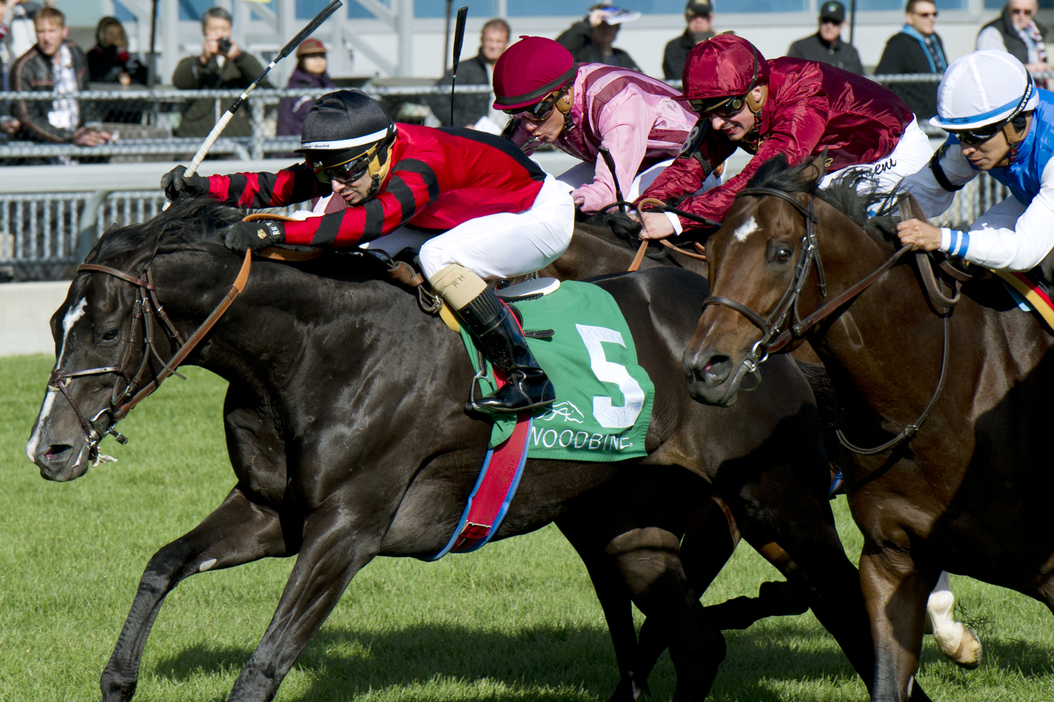 Bye Bye Bernie wins the 2015 Nearctic Stakes