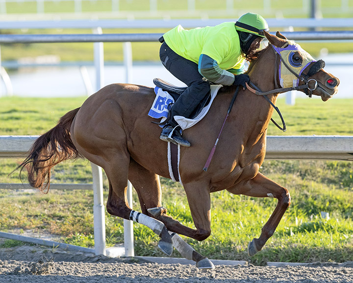 Bye Bye J trains at Gulfstream on Jan. 21