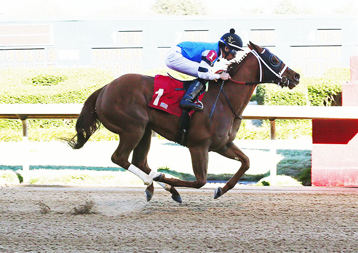 Bye Bye J wins a March 14 allowance at Oaklawn