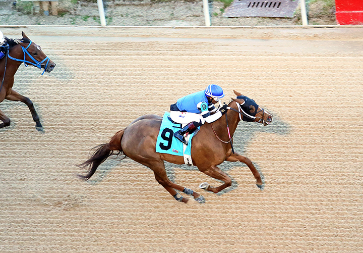 Bye Bye J wins the 2020 Downthedustyroad Stakes at Oaklawn Park
