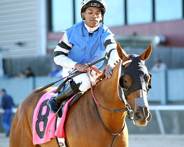 Bye Bye J at the 2019 Rainbow Miss Stakes at Oaklawn Park
