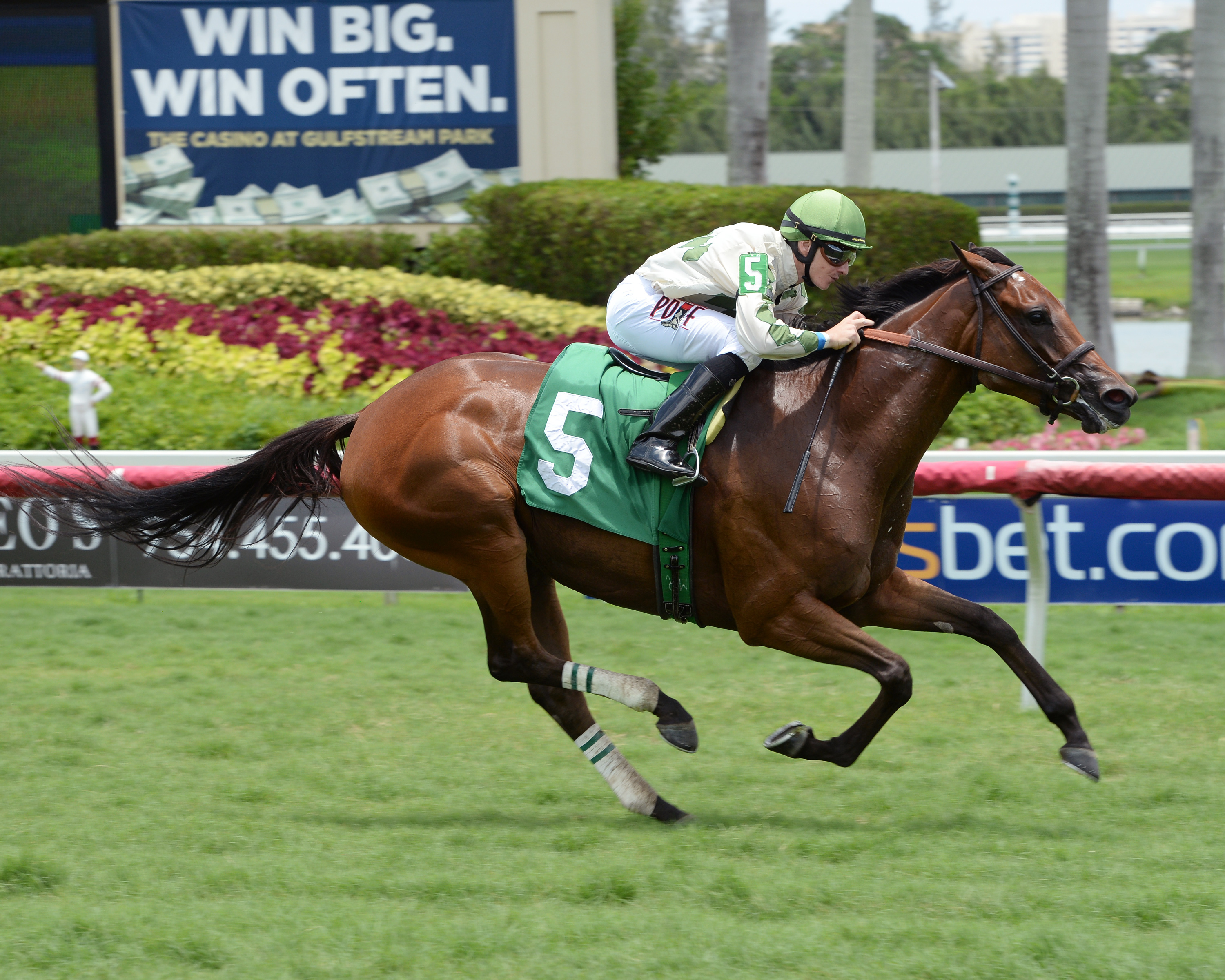 Byegone Days wins a maiden race at Gulfstream Park