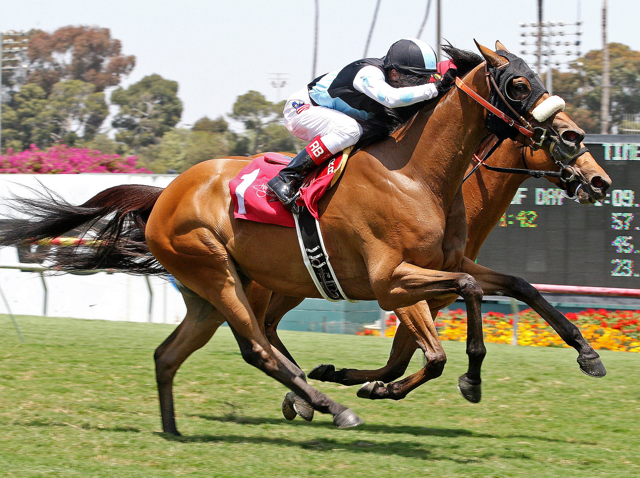 Byrama/Manhattan Beach Stakes