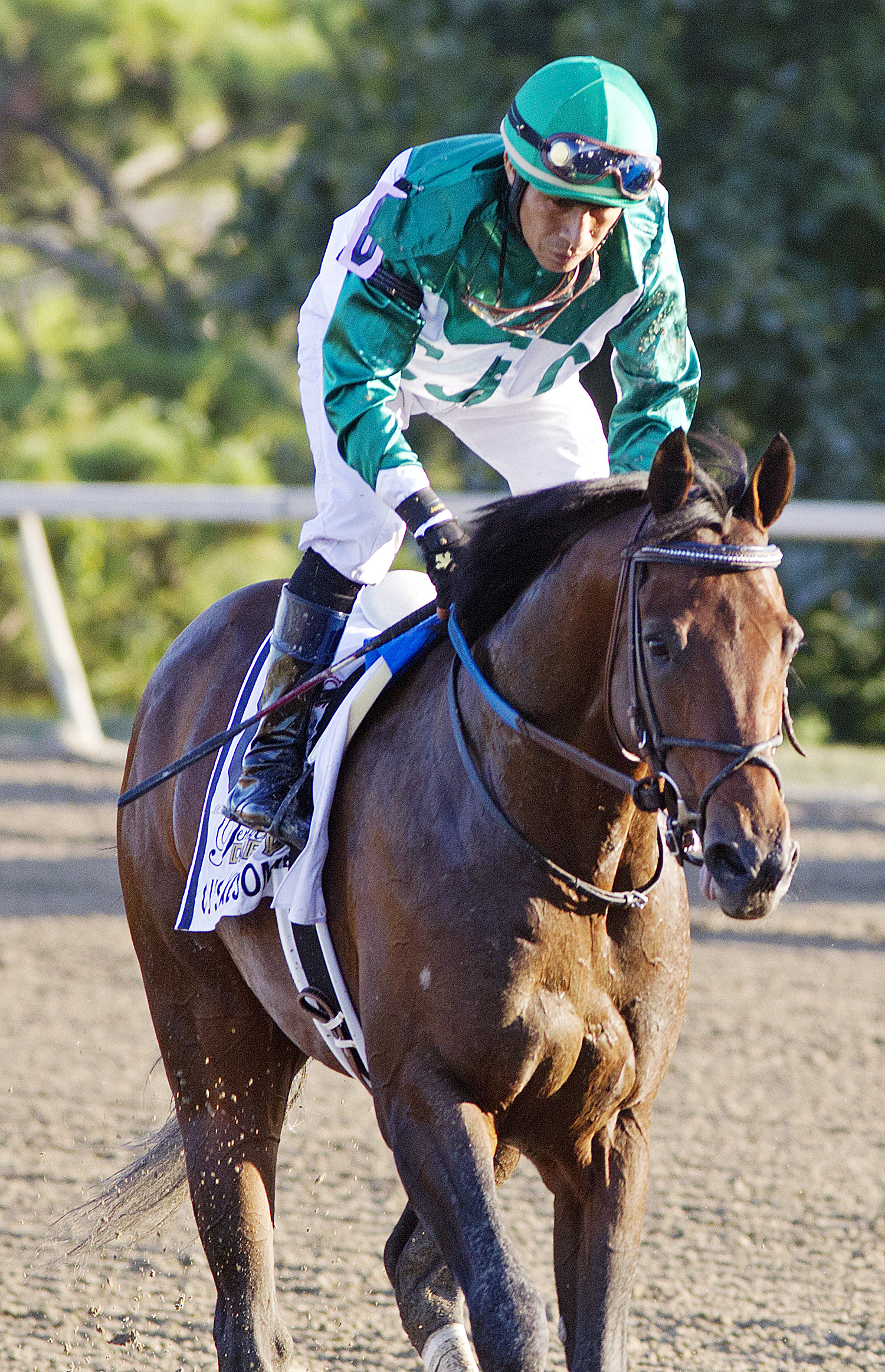 C J's Awesome finishes fourth in the Pennsylvania Derby