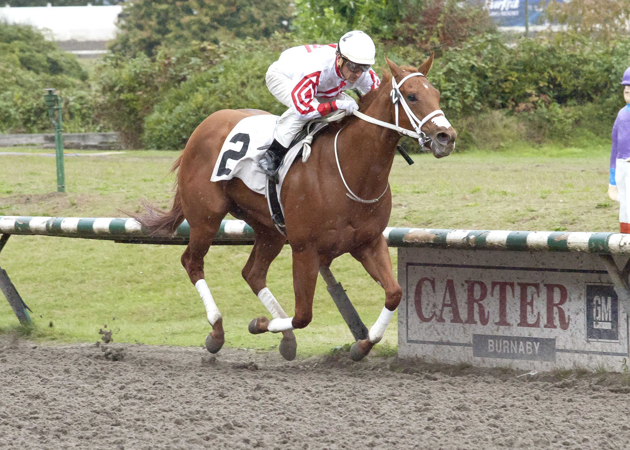 C U At Eau Claire wins the 2016 CTHS Stakes