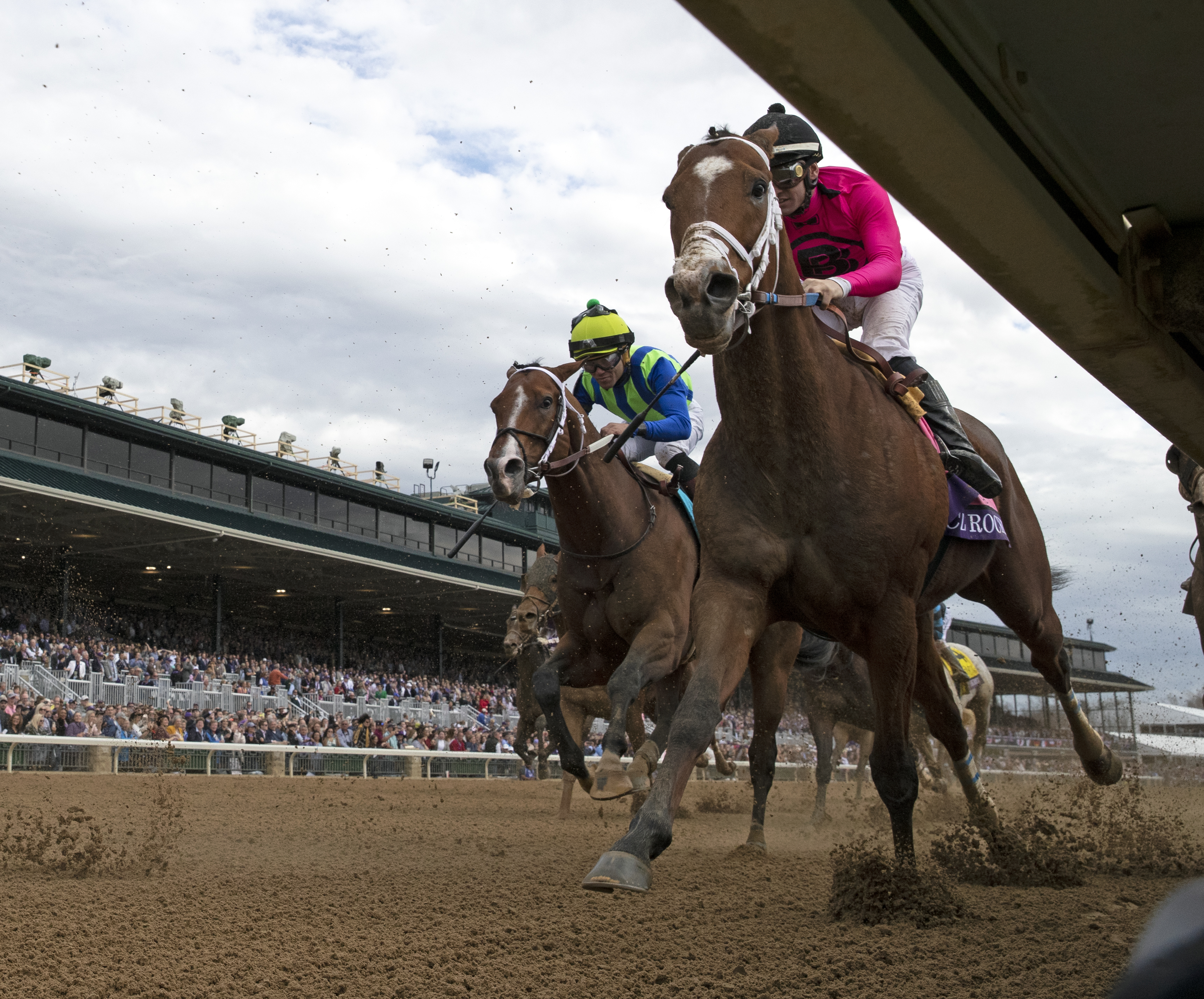 C Z Rocket finishes second in the BC Sprint Nov 5 2022