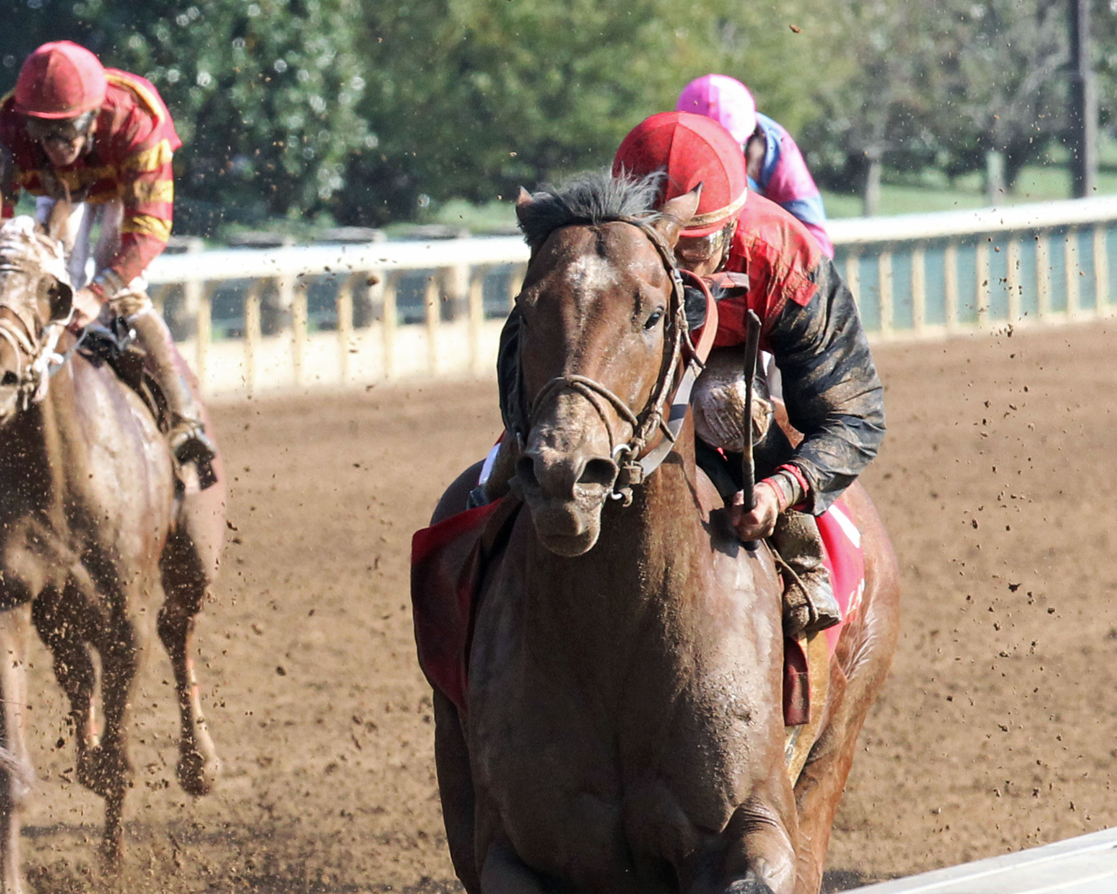 C Z Rocket wins an Oct. 11 allowance race