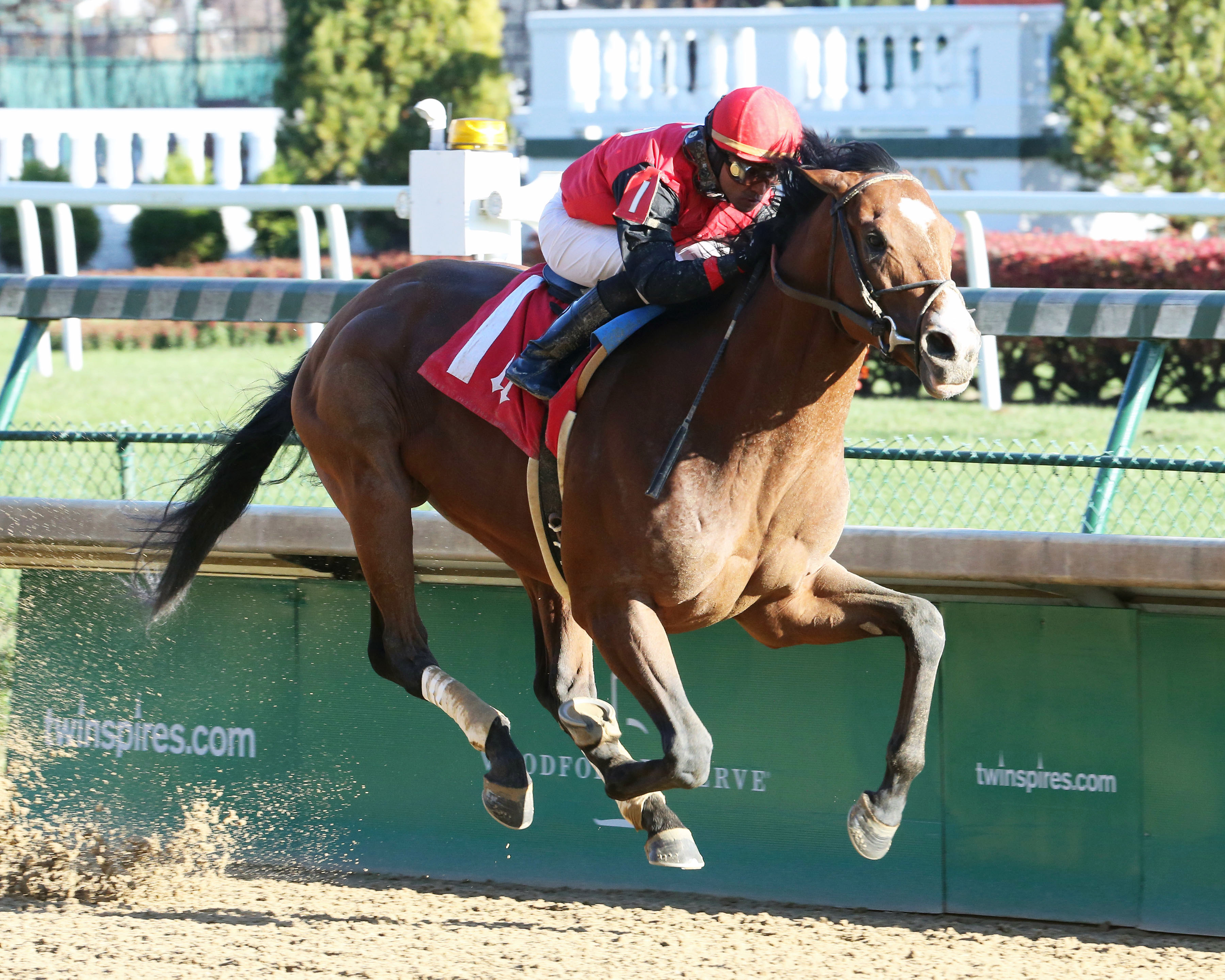 C Z Rocket wins a second-level allowance on Nov. 23