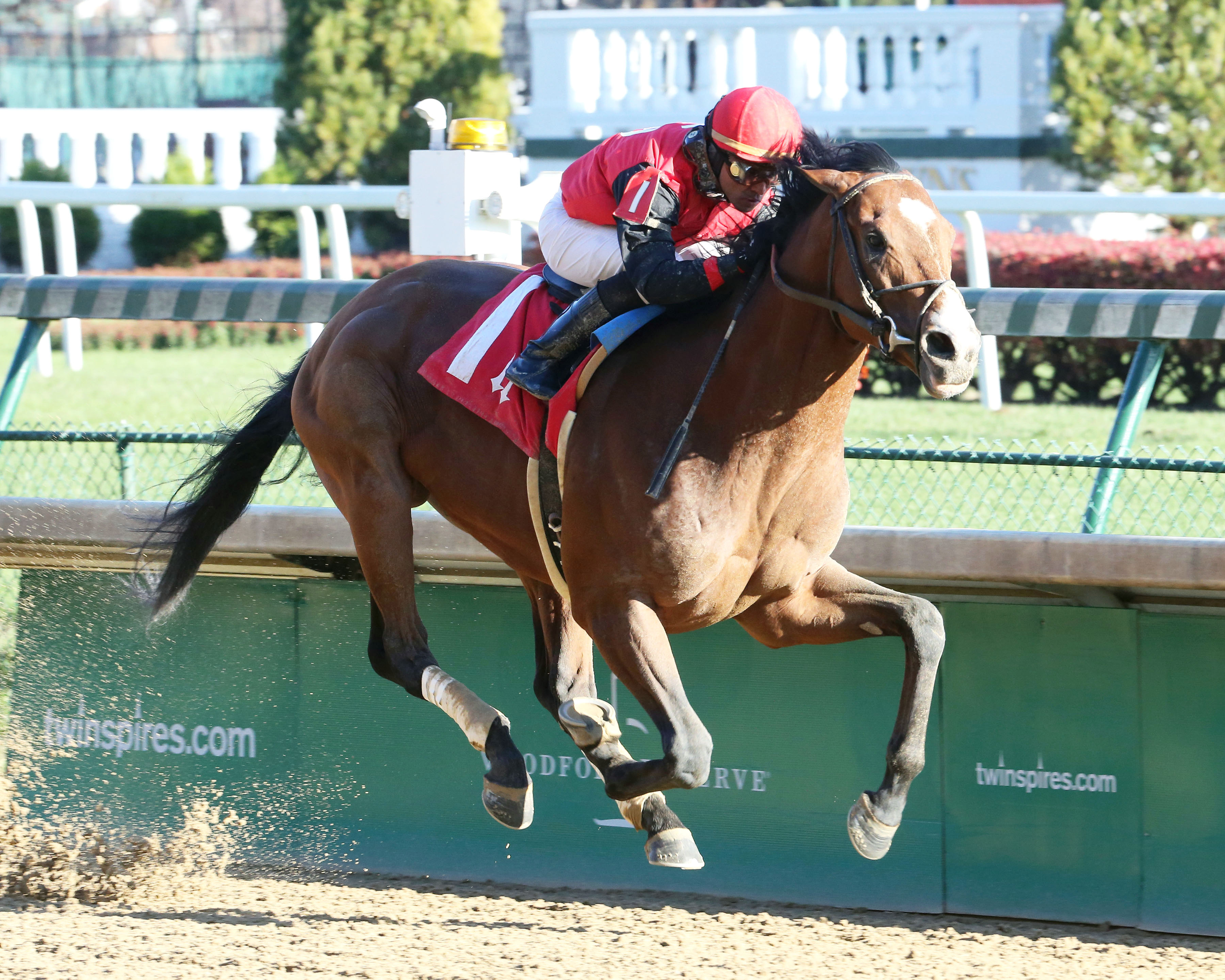C Z Rocket wins a second-level allowance on Nov. 23