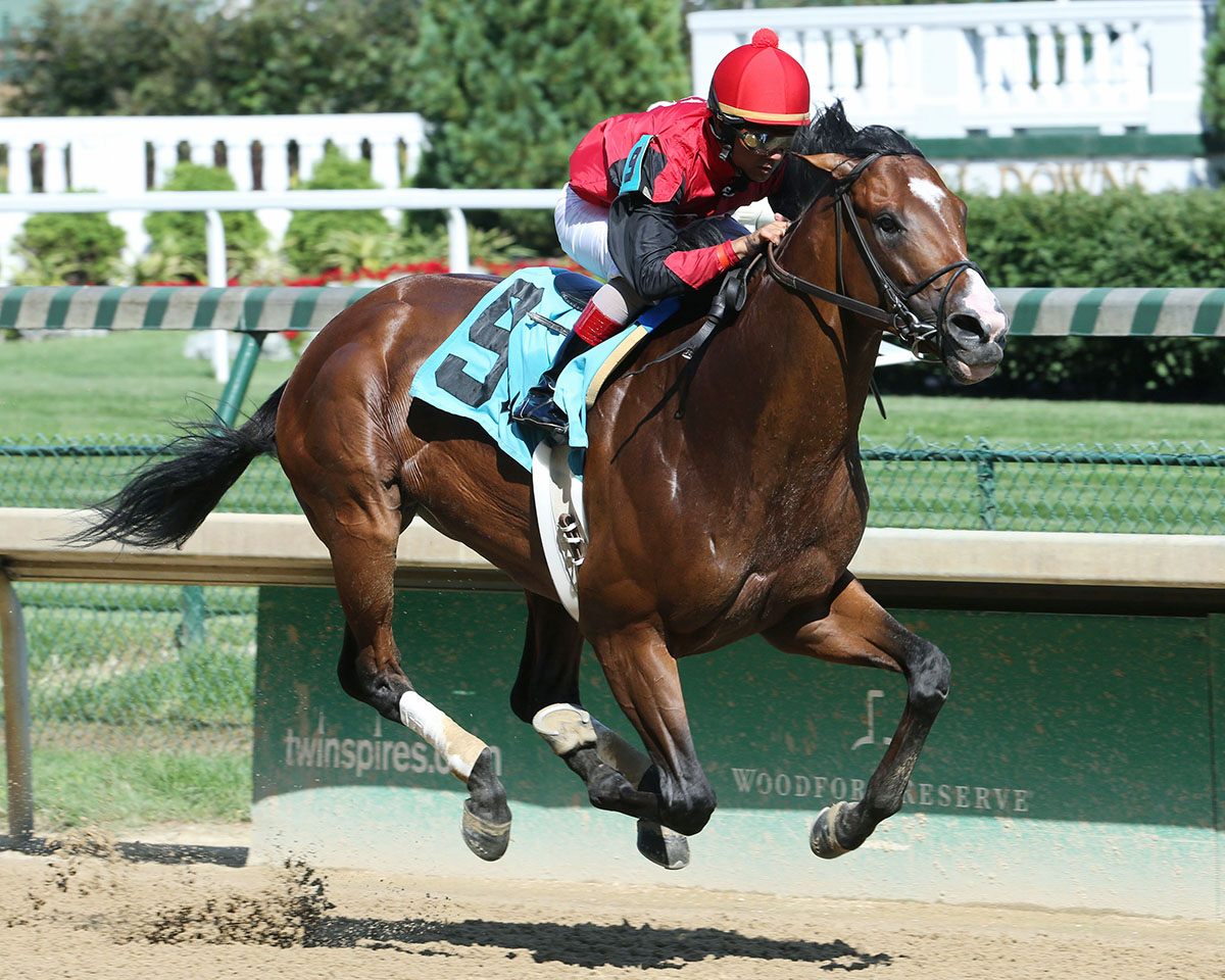 C Z Rocket wins the Kelly-s Landing Stakes