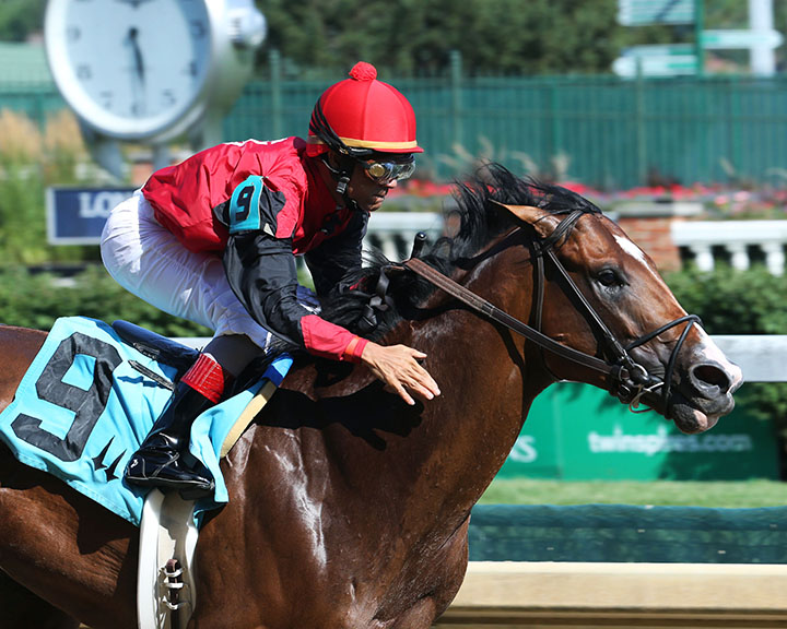C Z Rocket wins the Kelly-s Landing Stakes