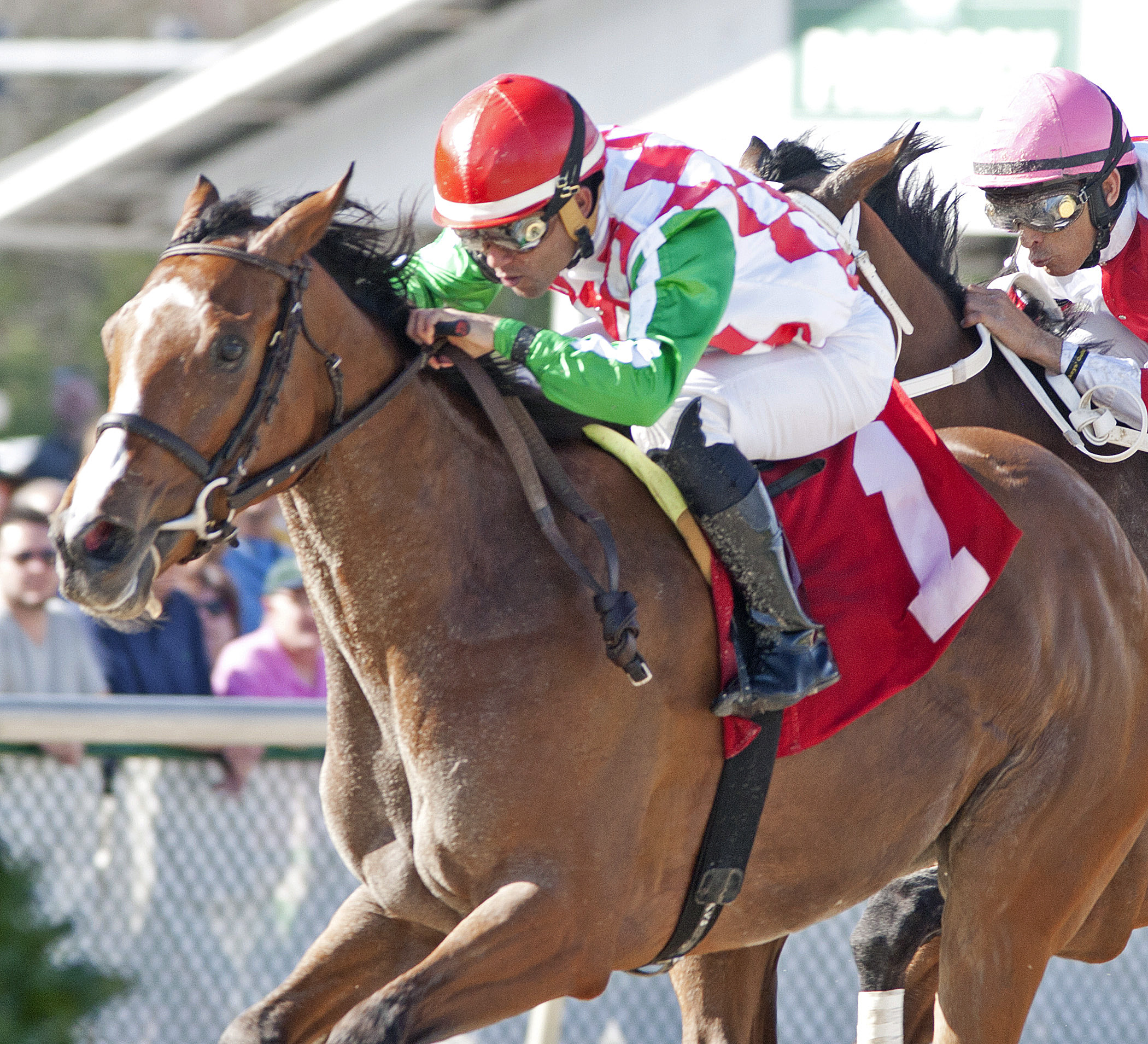 C.S. Incharge wins the Suncoast Stakes