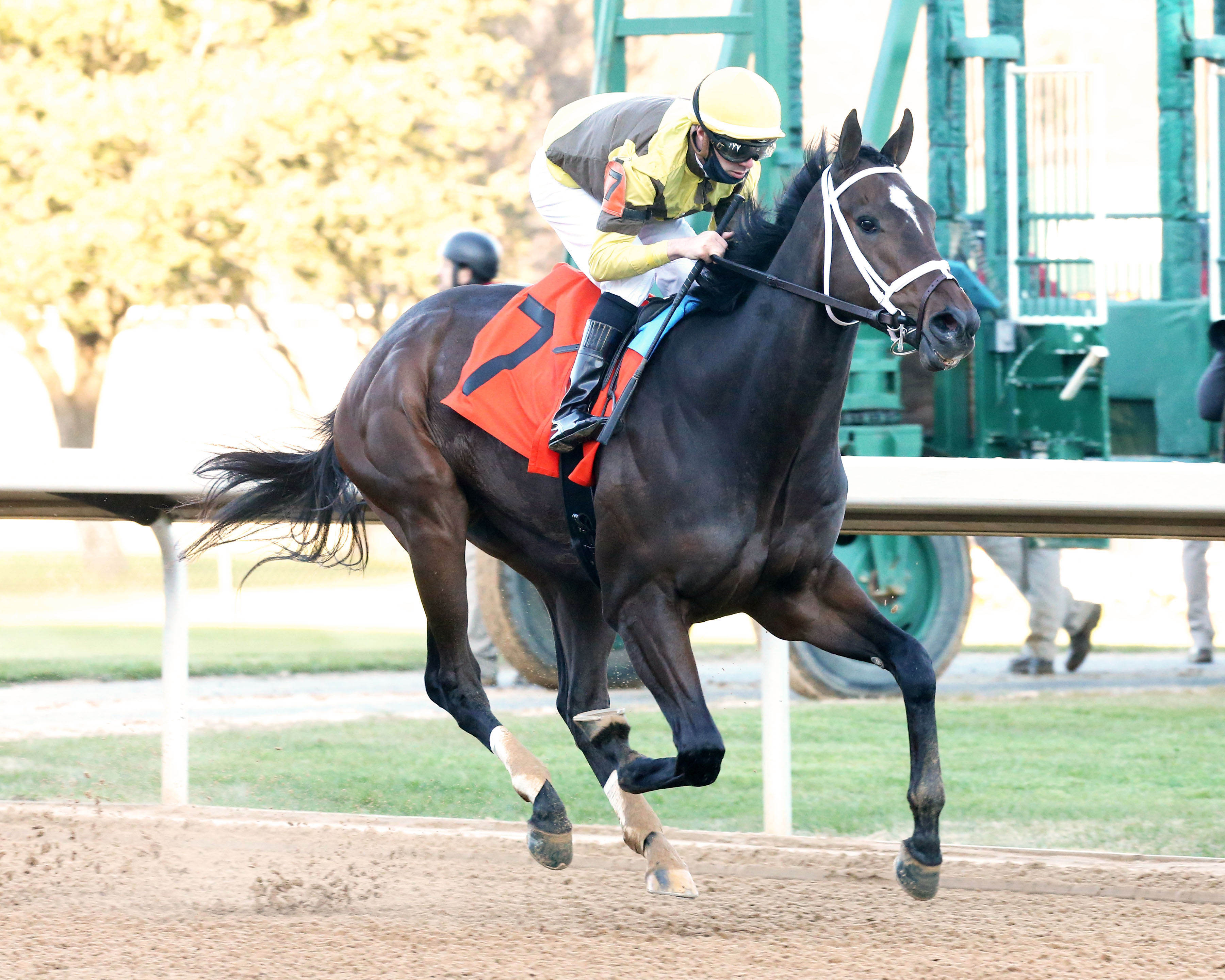 Caddo River/Smarty Jones