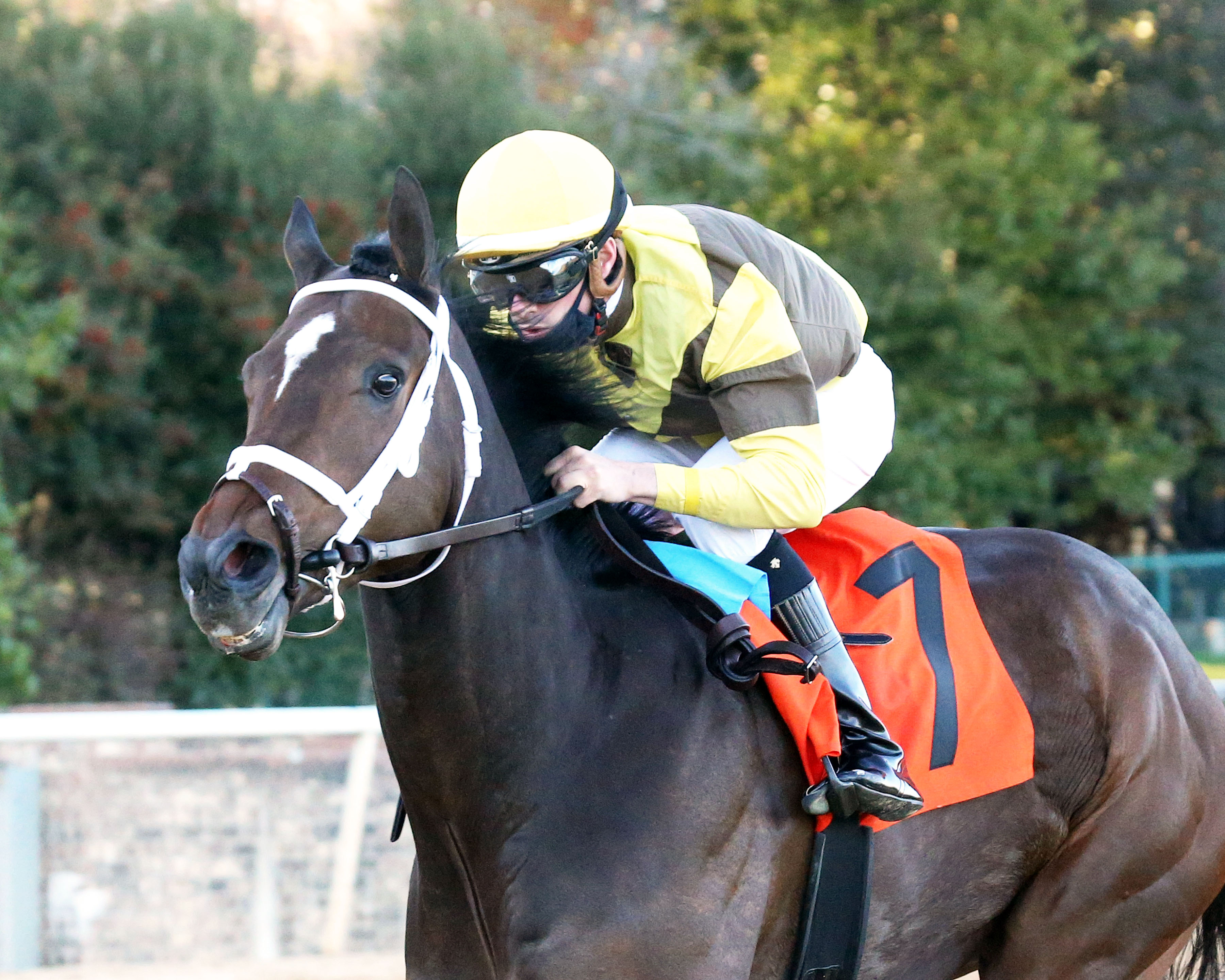 Caddo River wins the Smarty Jones 1-22-2021