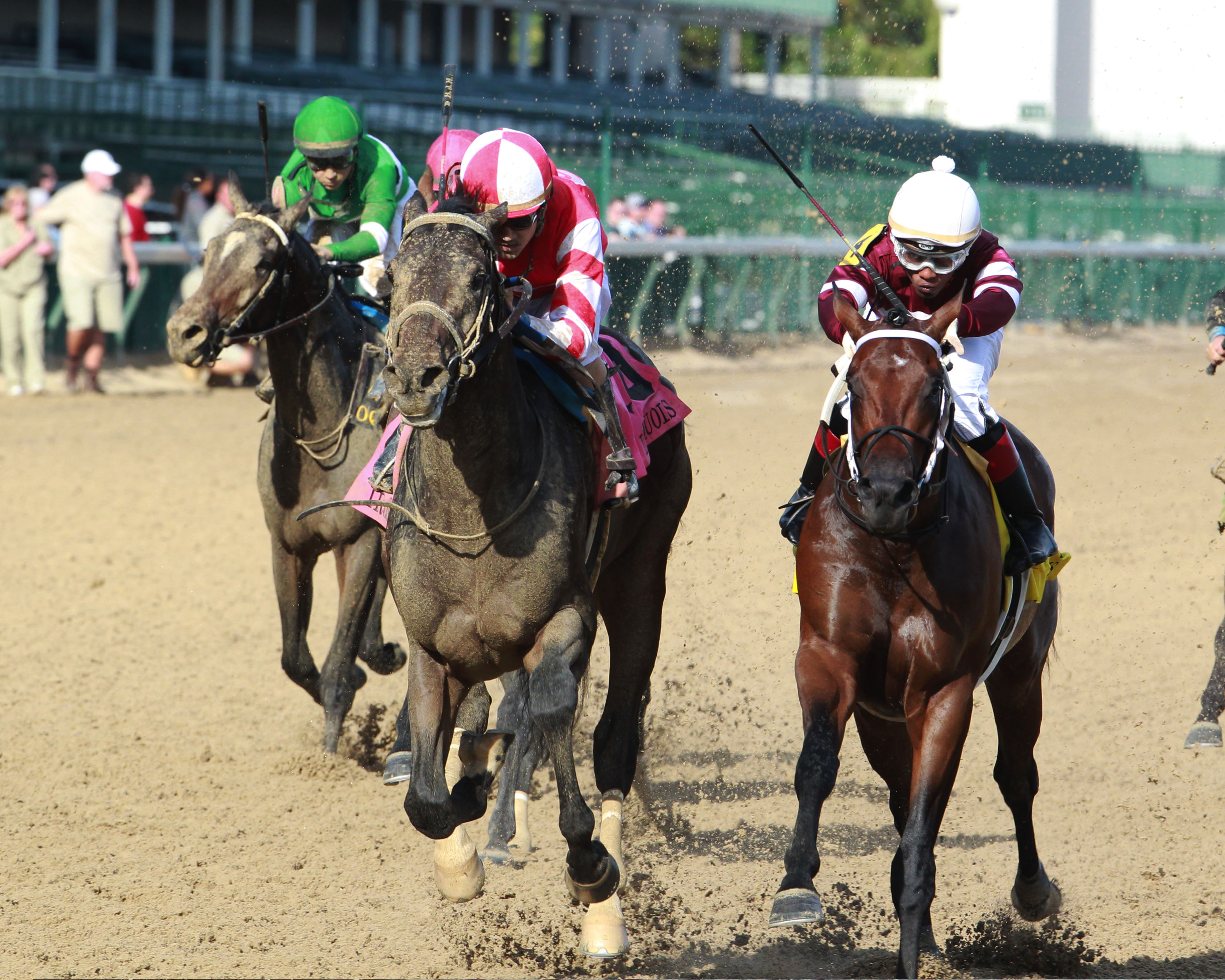 Cairo Cat wins 2018 Iroquois