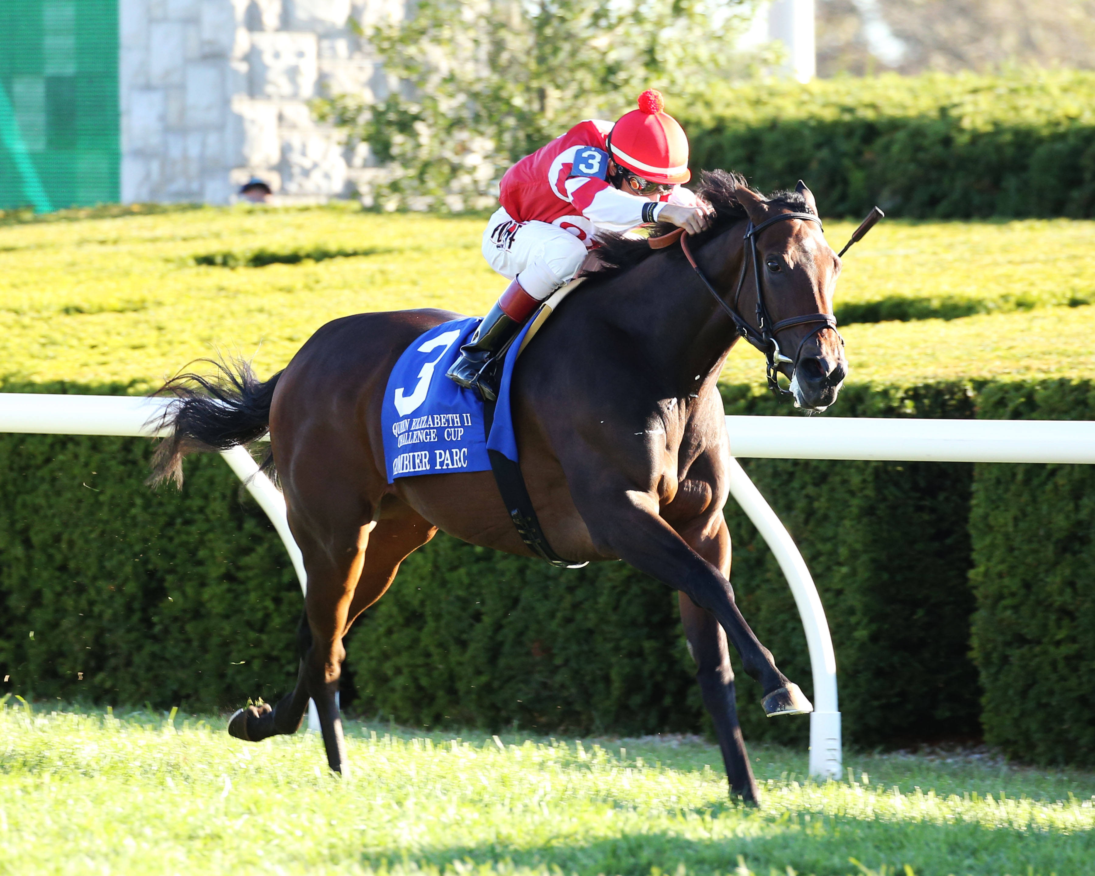 Cambier Parc wins the 2019 QEII Challenge Cup