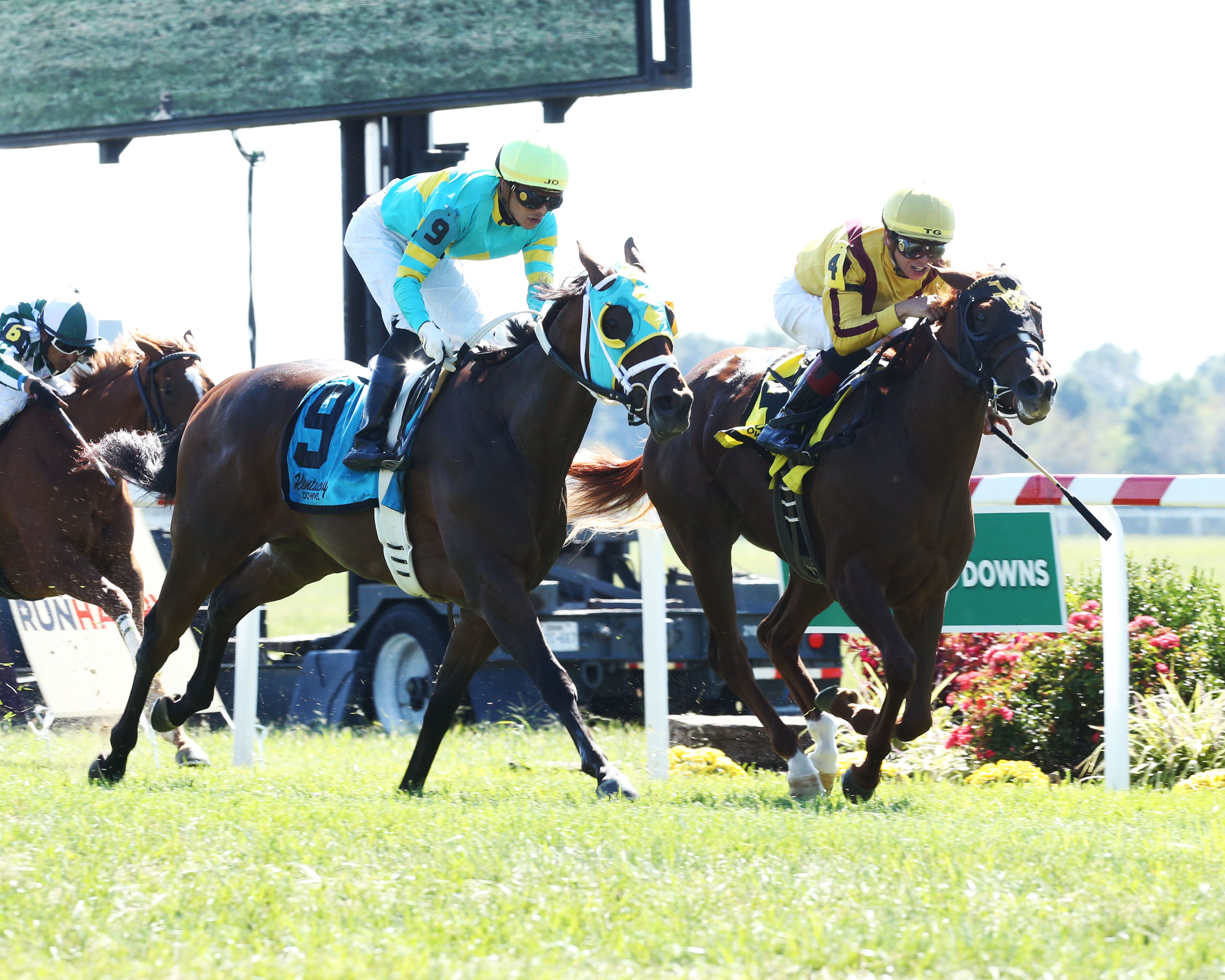 Cambria (right) wins the 2019 KY Downs Juvenile Turf Sprint