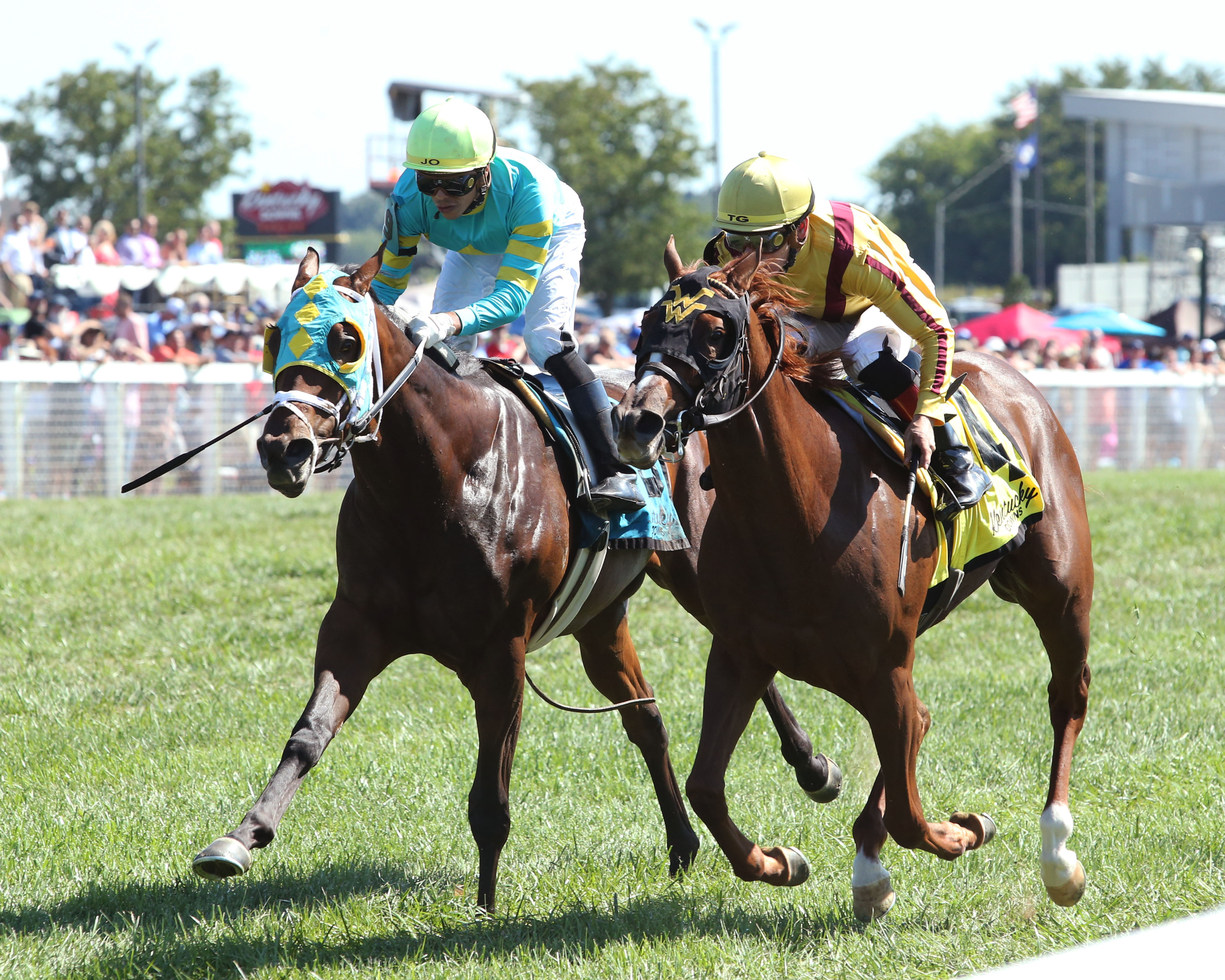 Cambria (inside) wins the 2019 Kentucky Downs Juvenile Turf Sprint
