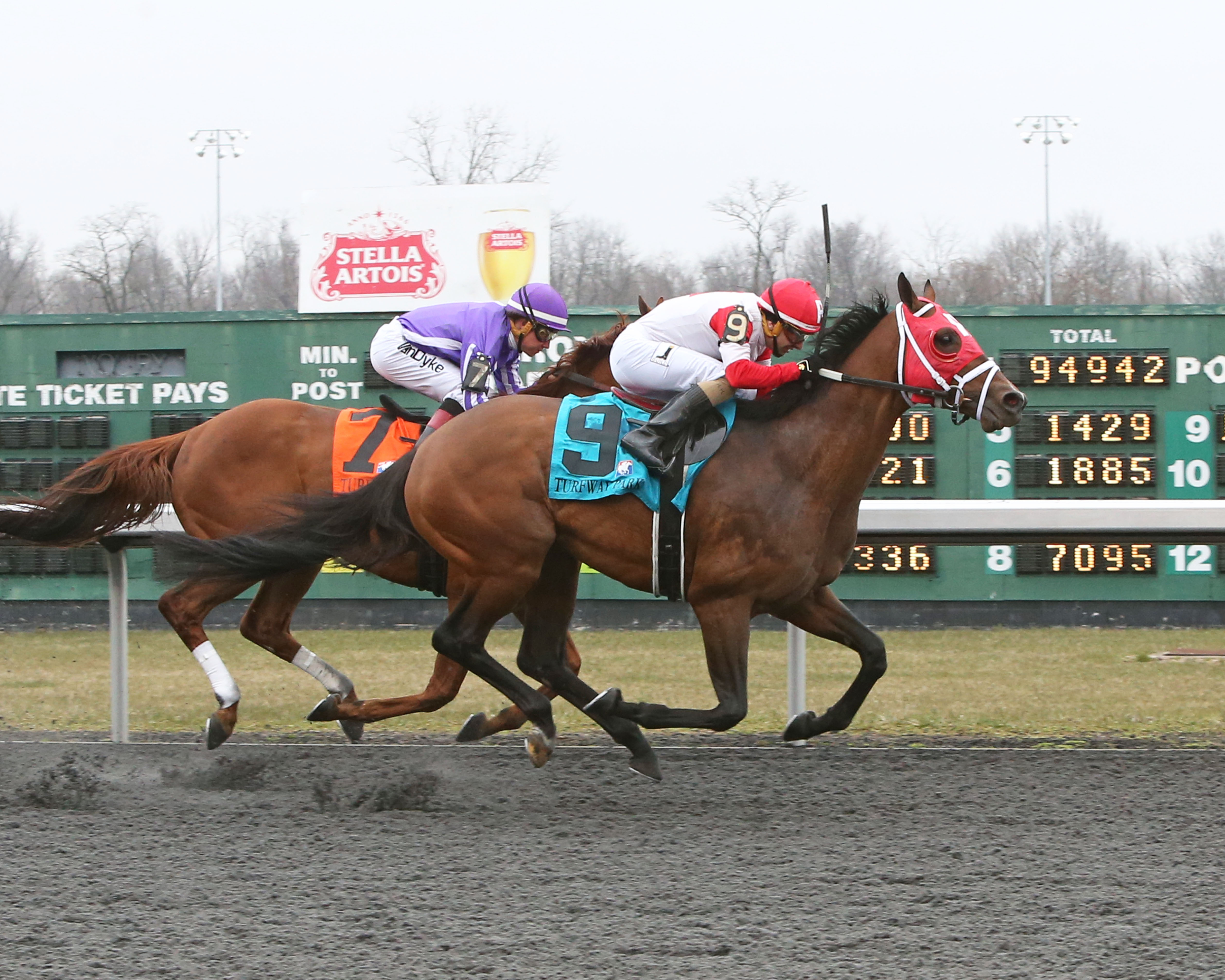 Camelot Kitten wins 2018 Kentucky Cup