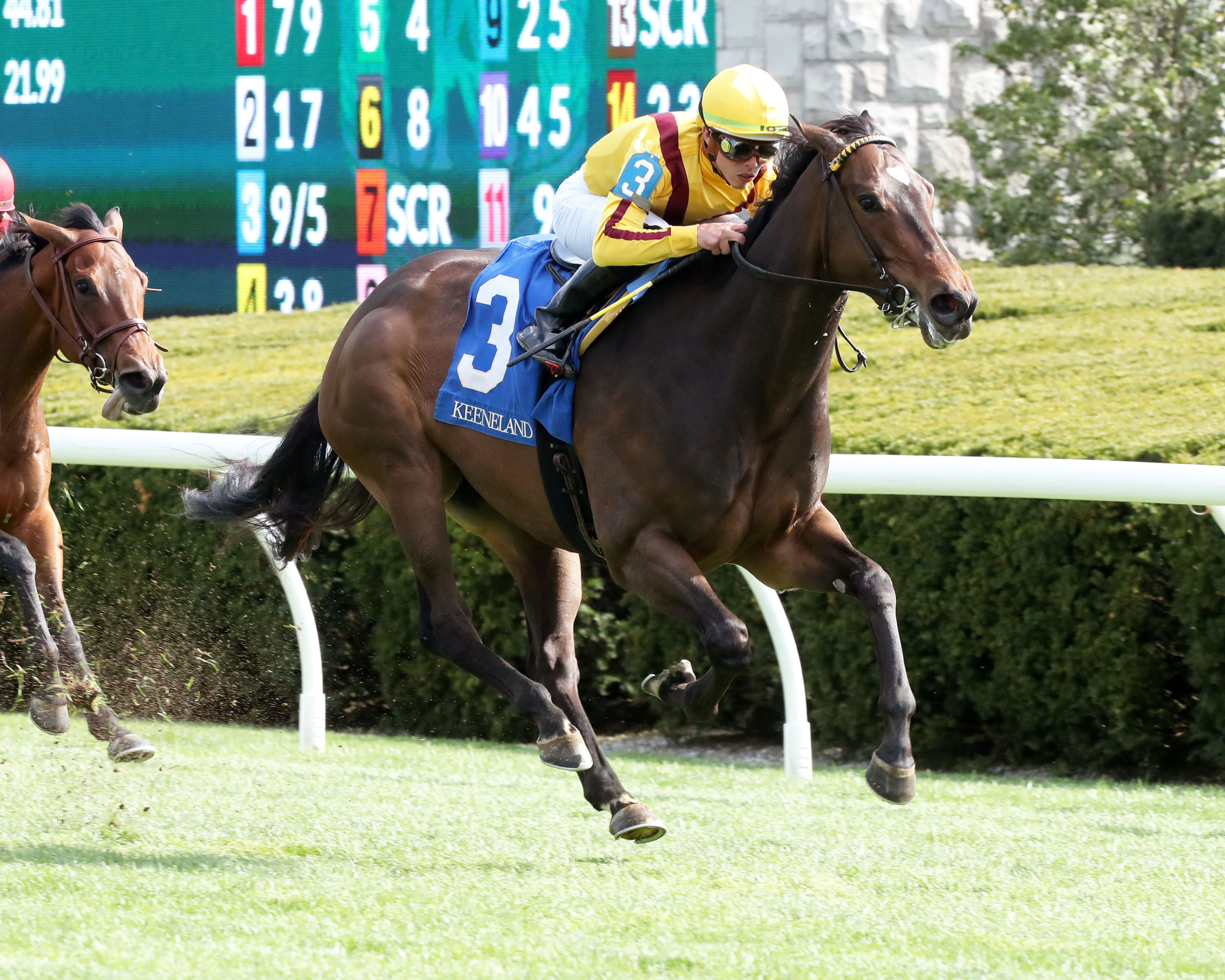 Campanelle wins Giant's Causeway 4-16-2022