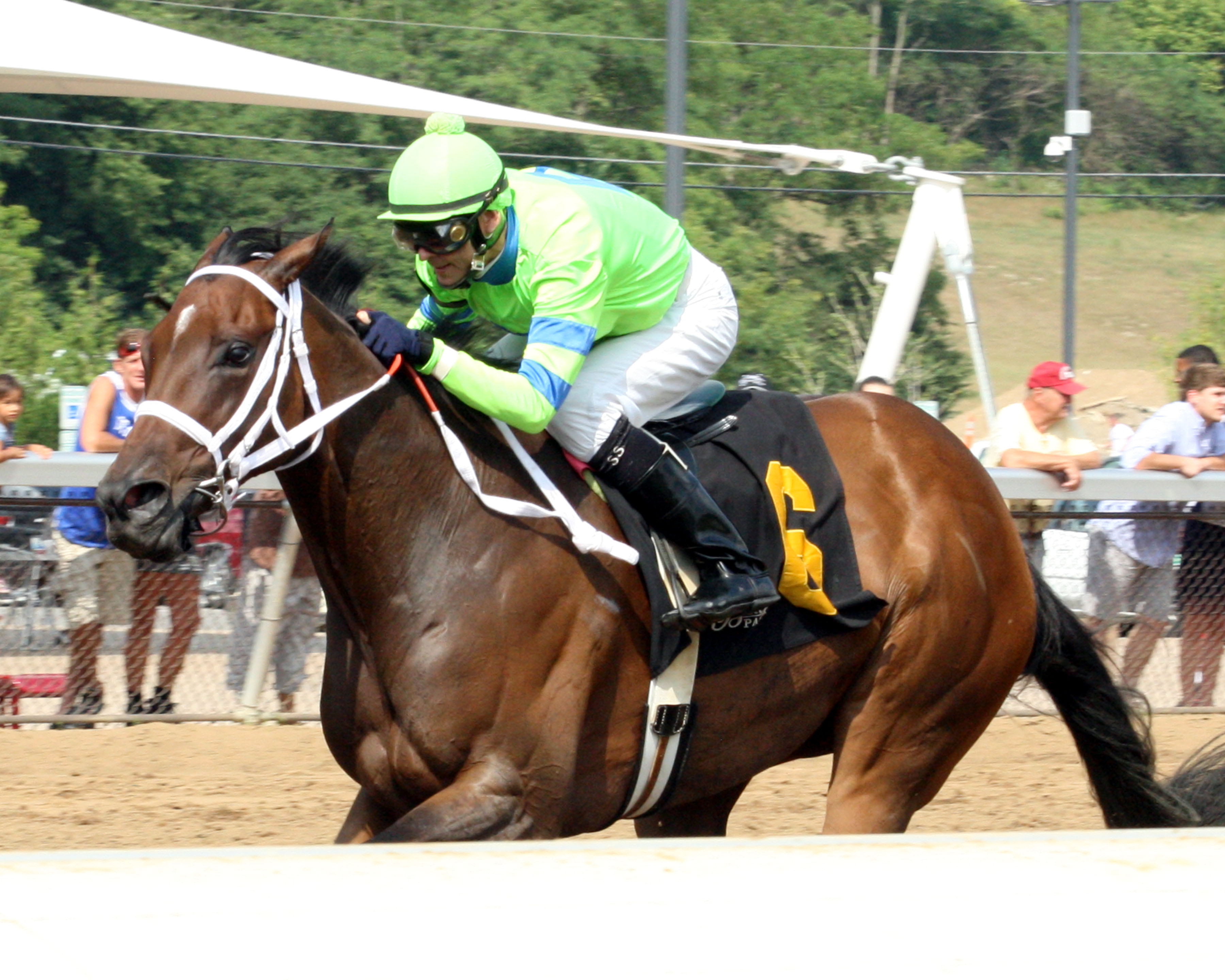 Caviar N Champagne wins 2014 Vivacious