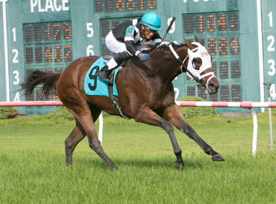 Fiesta wins 2018 Jill Jellison