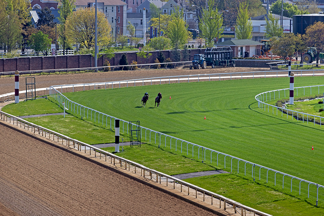 Training on Churchill Downs new turf course, April 2022