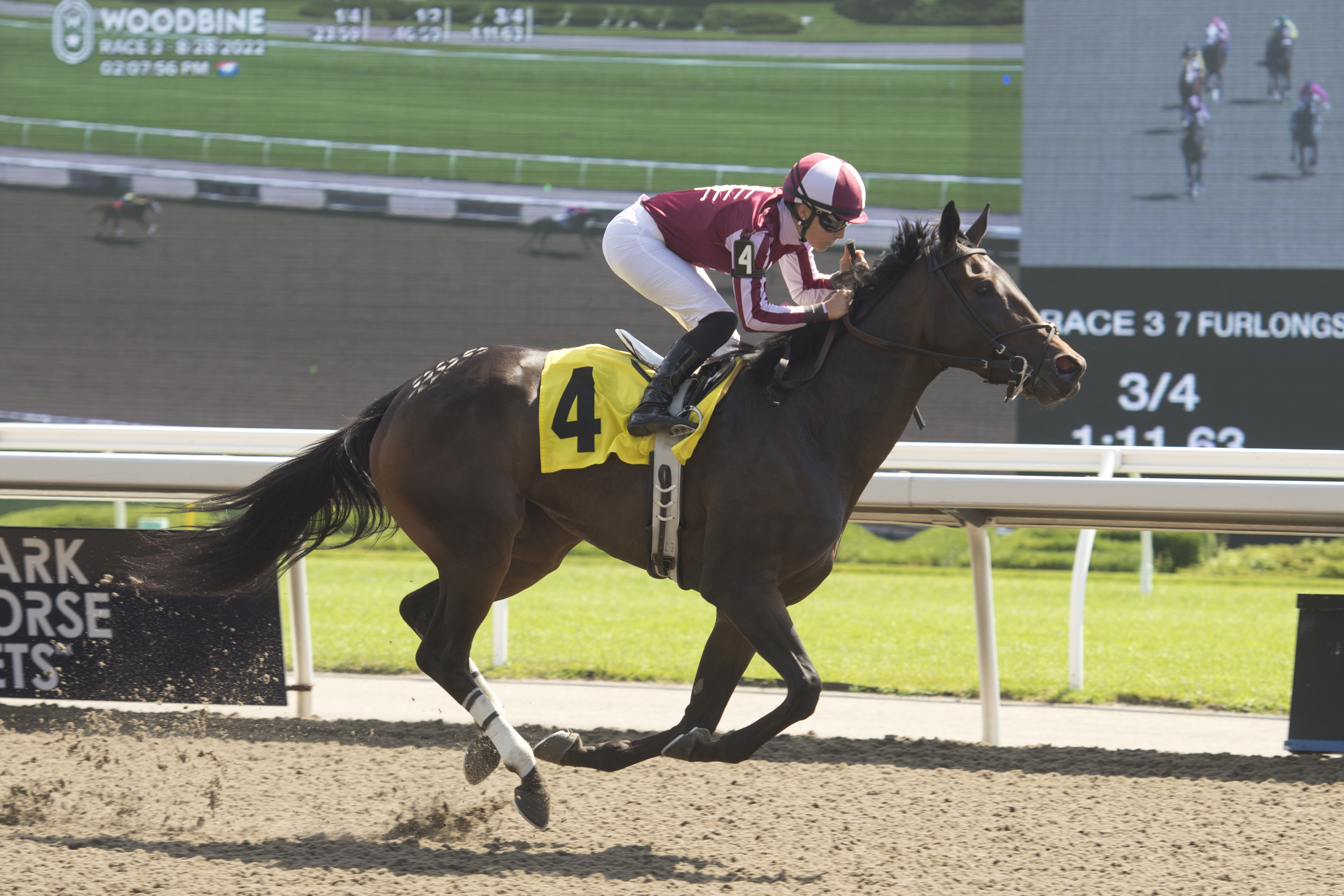 Talk To Ya Later wins Algoma 8-28-2022