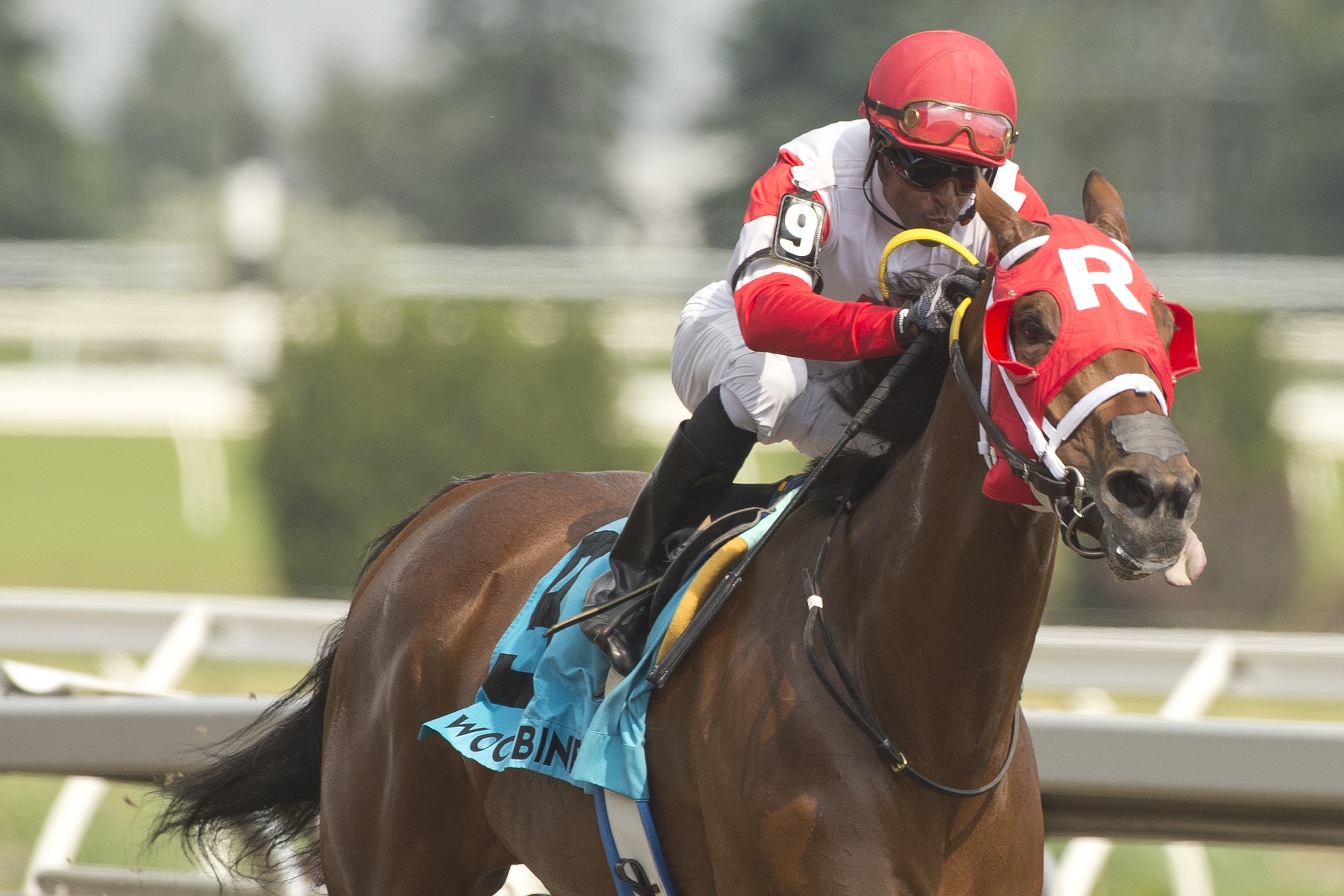 Artie's Princess wins Ballade 6-26-2022