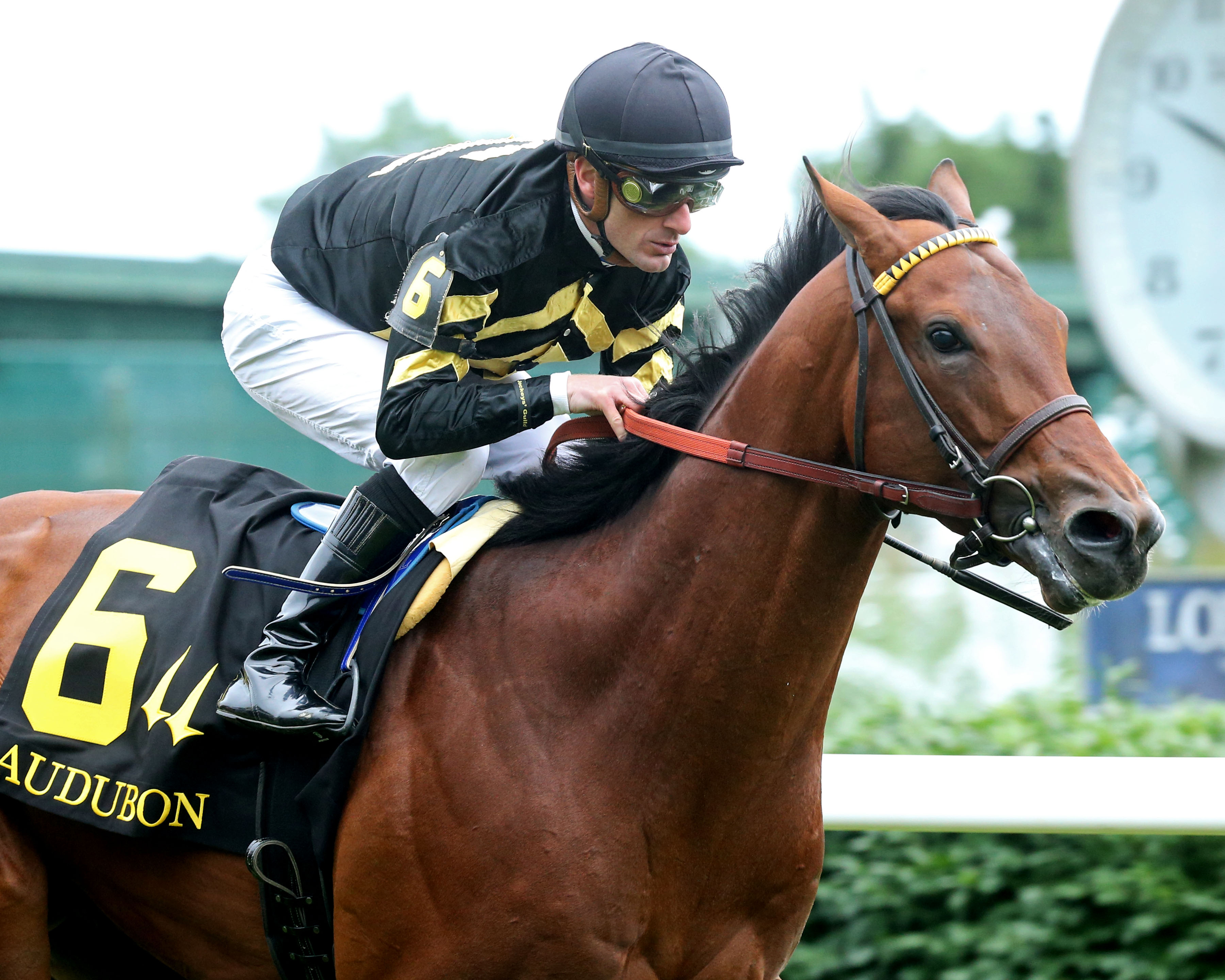 Cellist wins the Audubon 5-29-2021