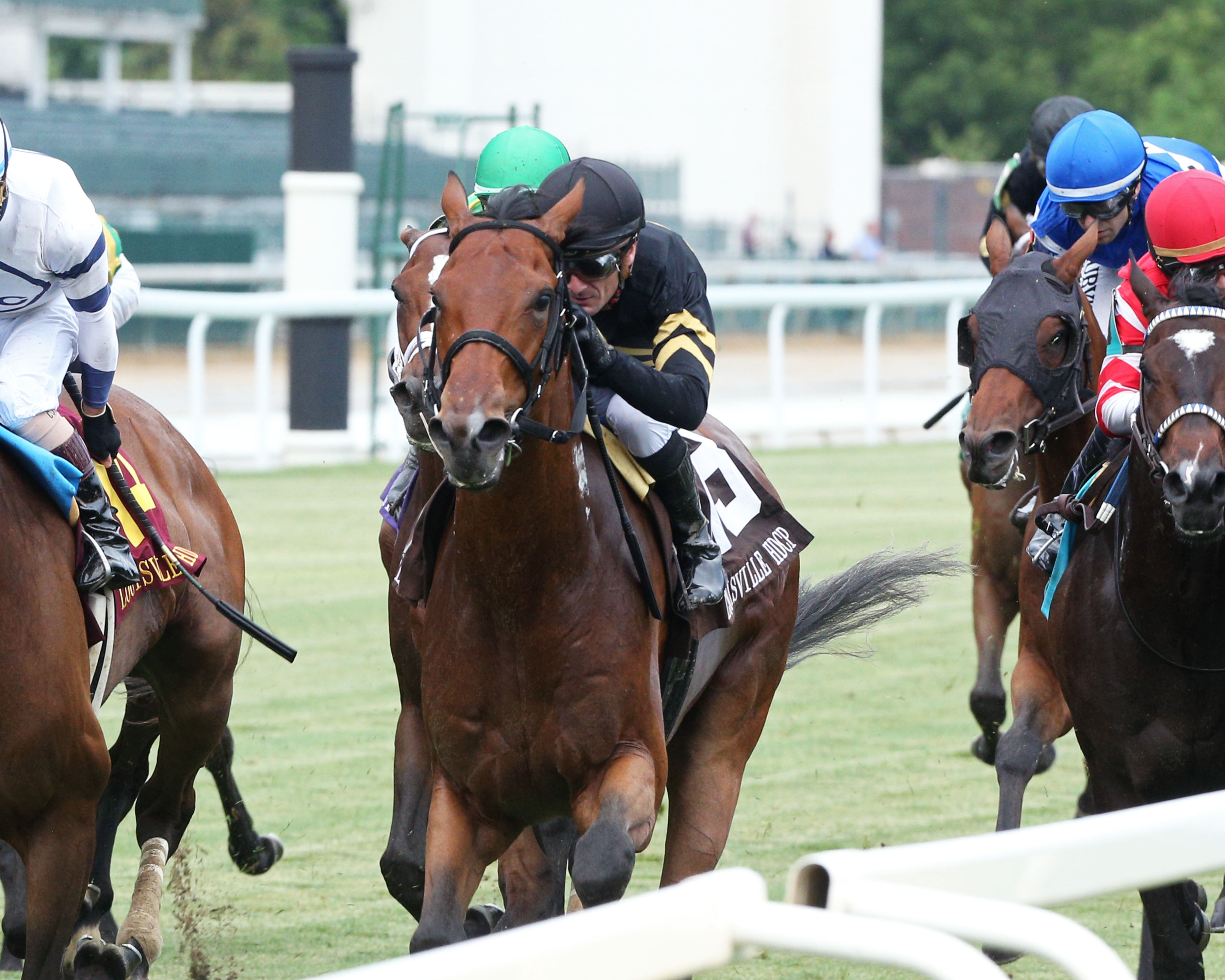 Cellist, Louisville Stakes
