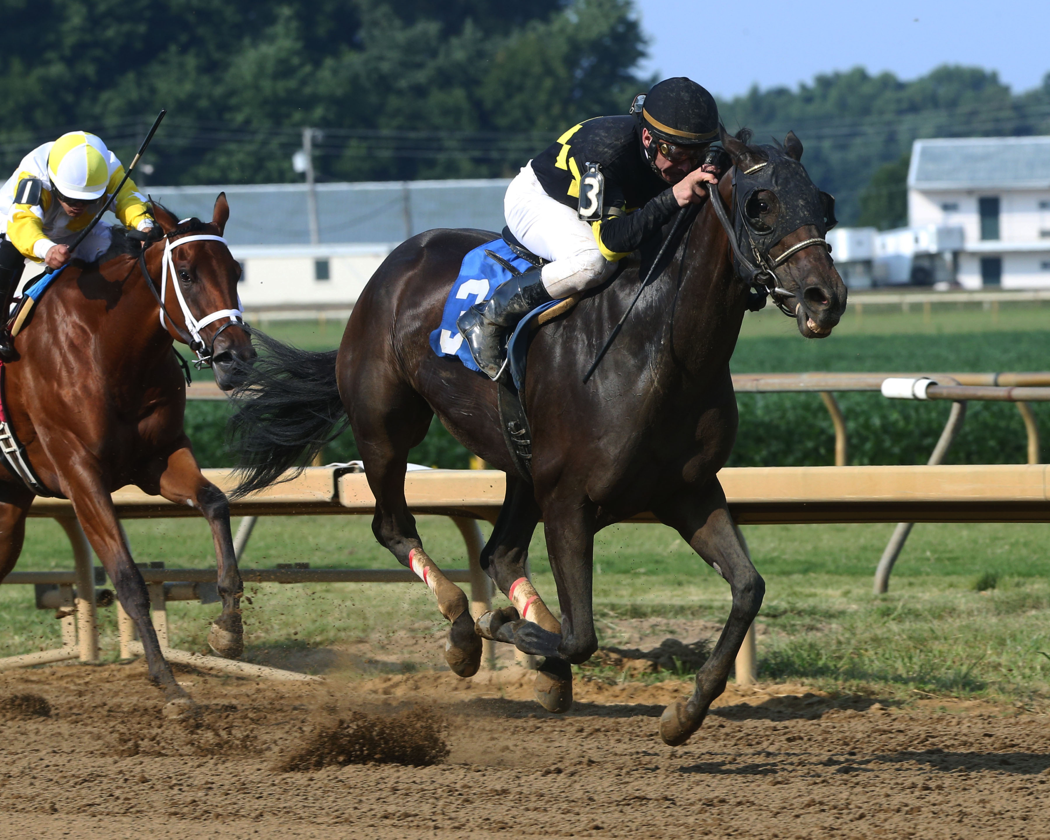 Champagne Problems wins 2018 Groupie Doll