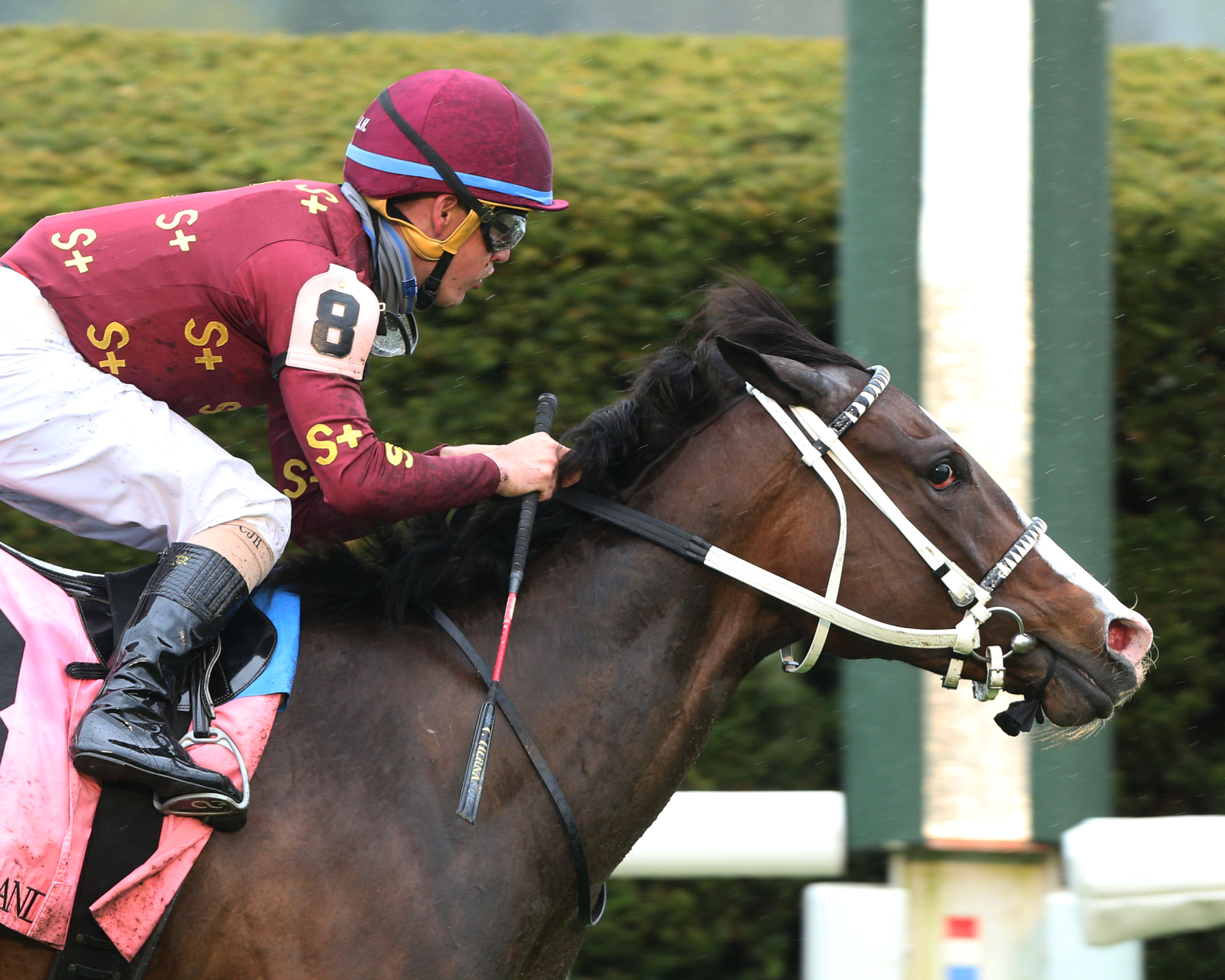 Change of Control wins Giants Causeway 4-10-2021