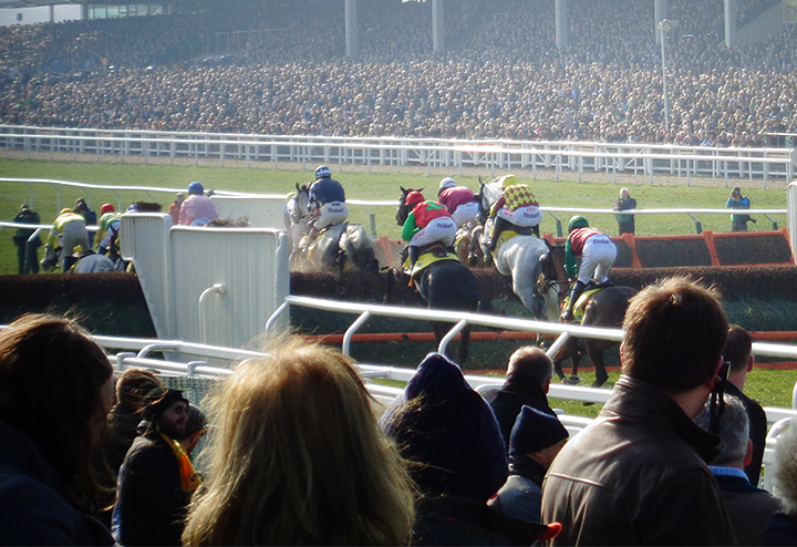 Cheltenham jump race - scenic