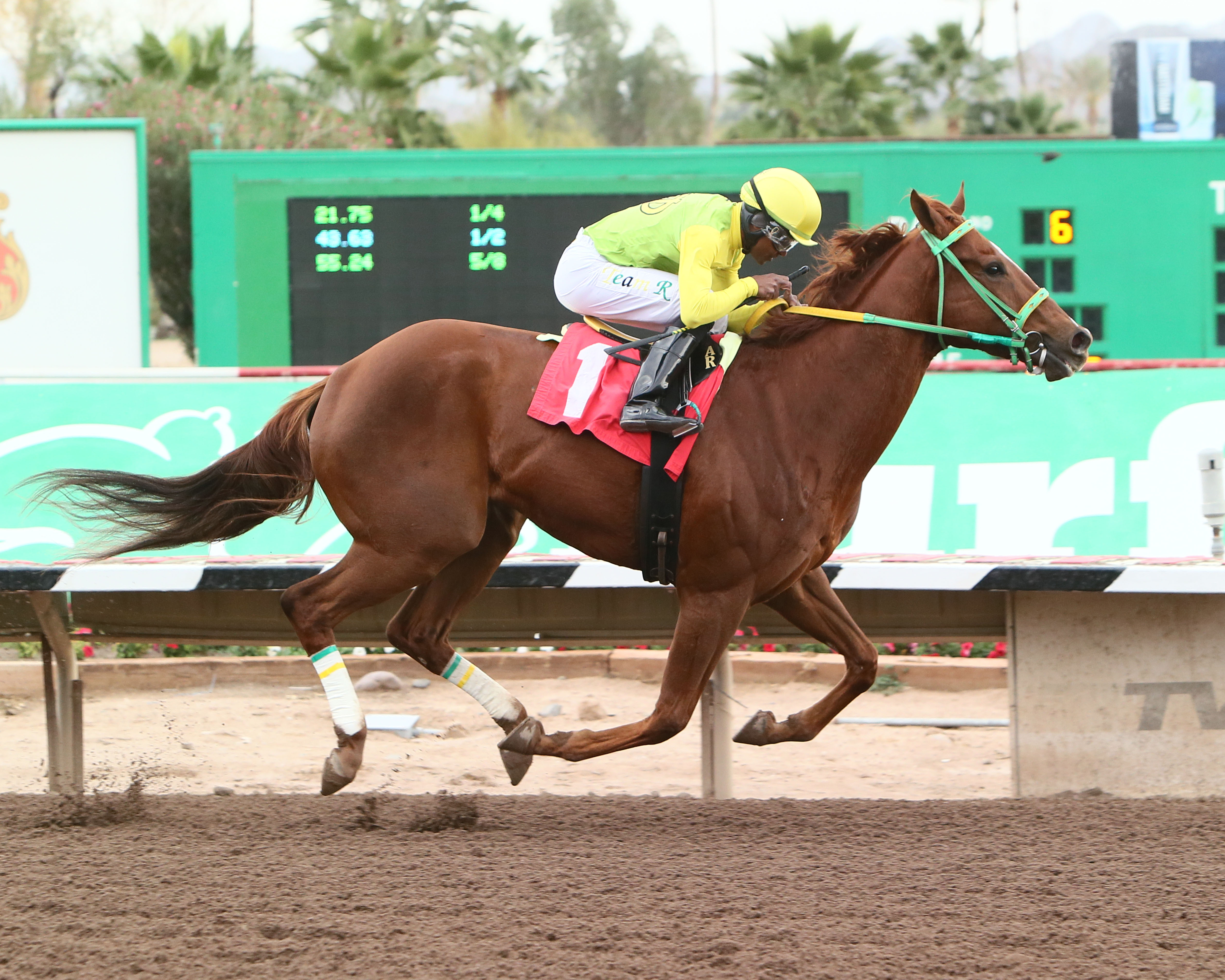 Chief Cicatriz wins the 2018 Hank Mills Sr. Stakes