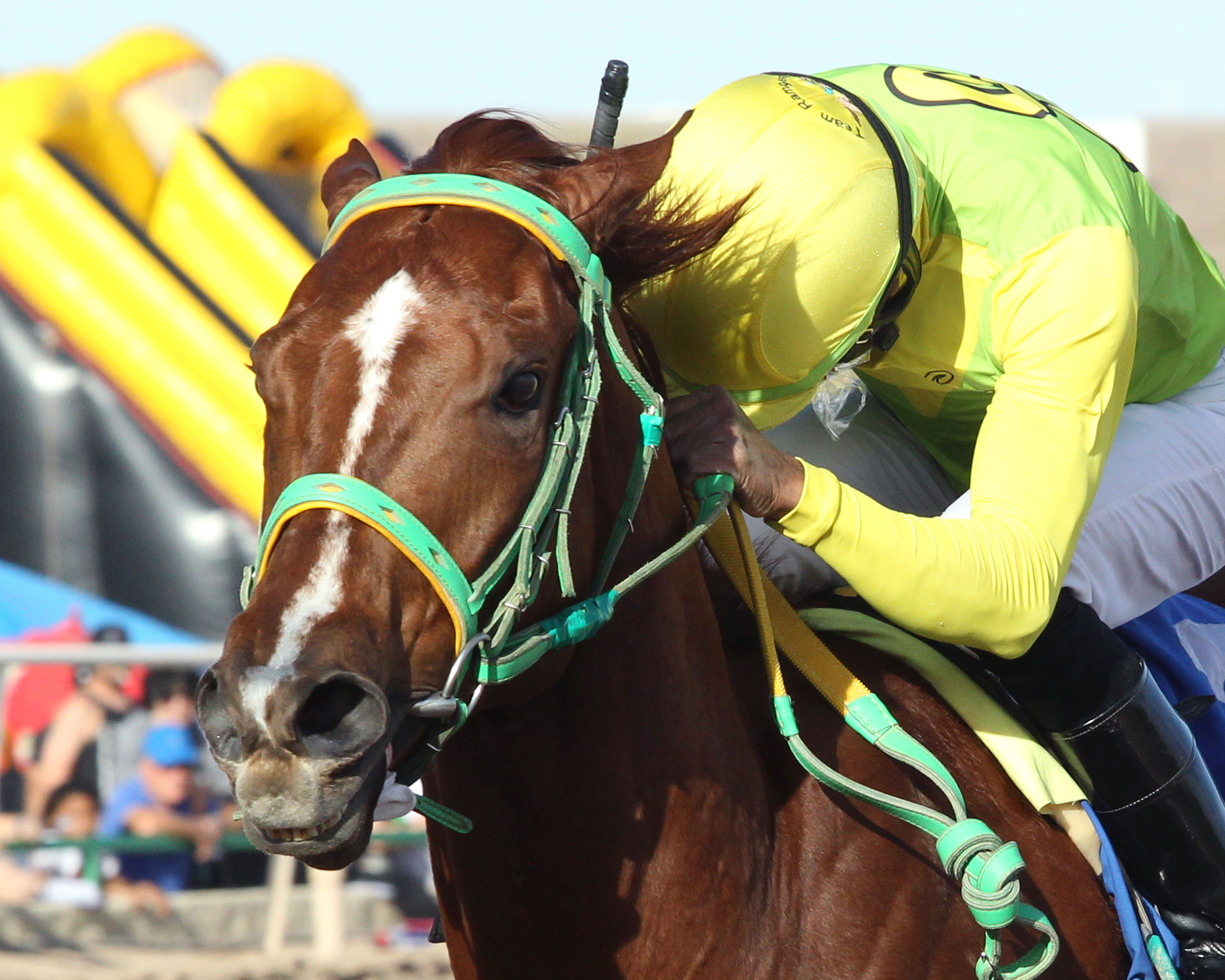 Chief Cicatriz wins 2018 Phoenix Gold Cup
