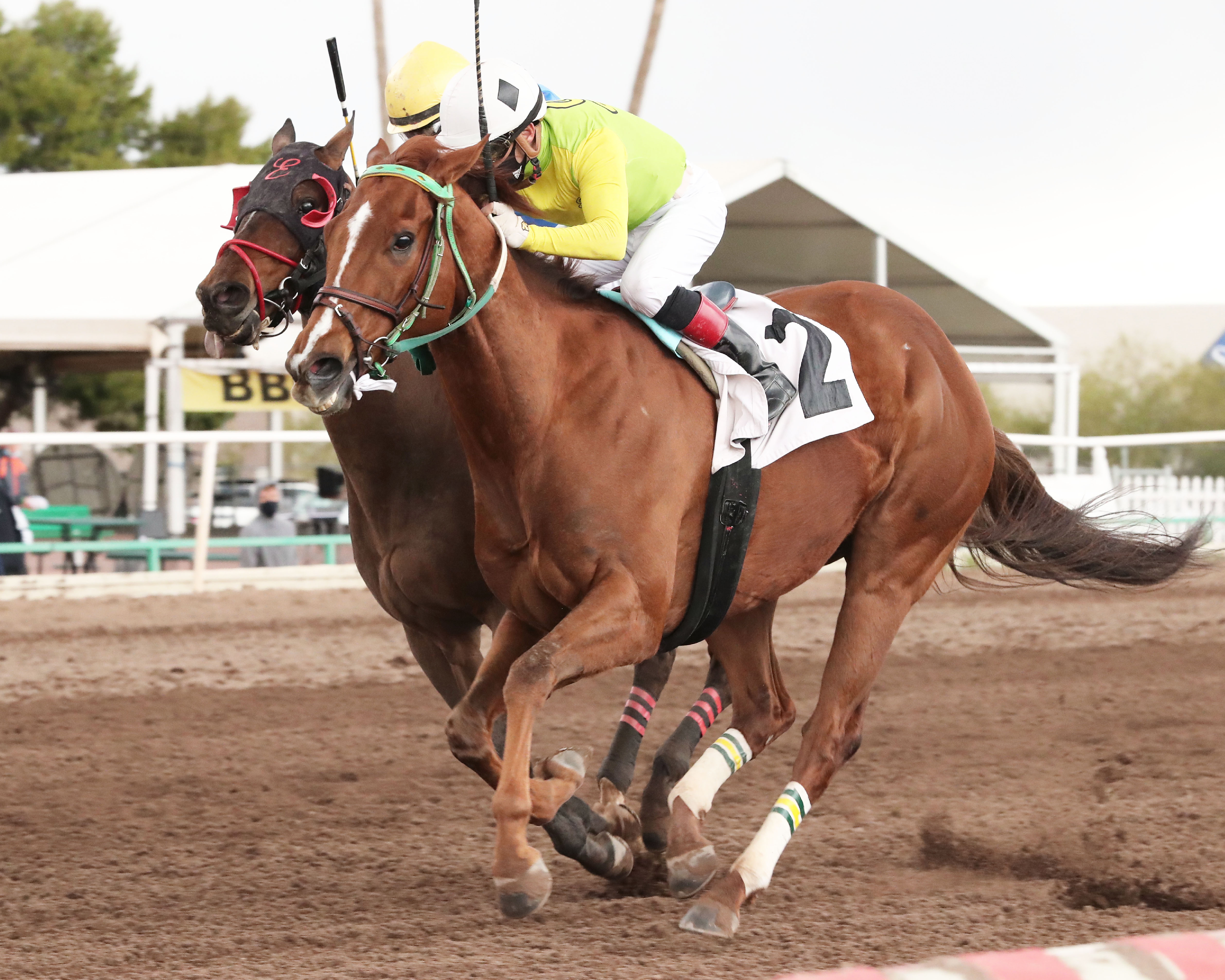 Chief Cicatriz wins Phoenix Gold Cup 3-12-2021