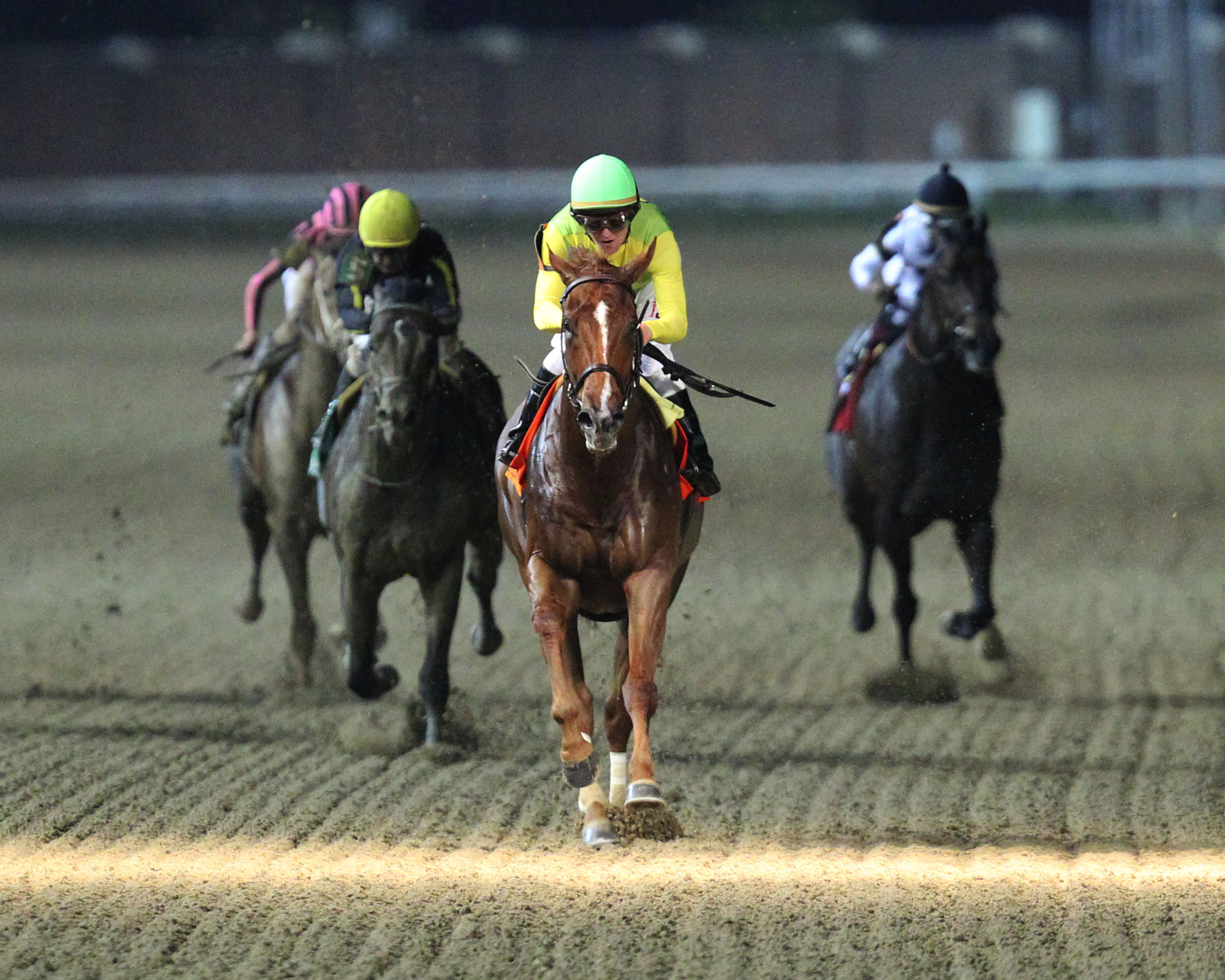 Chief Cicatriz wins 2018 Aristides