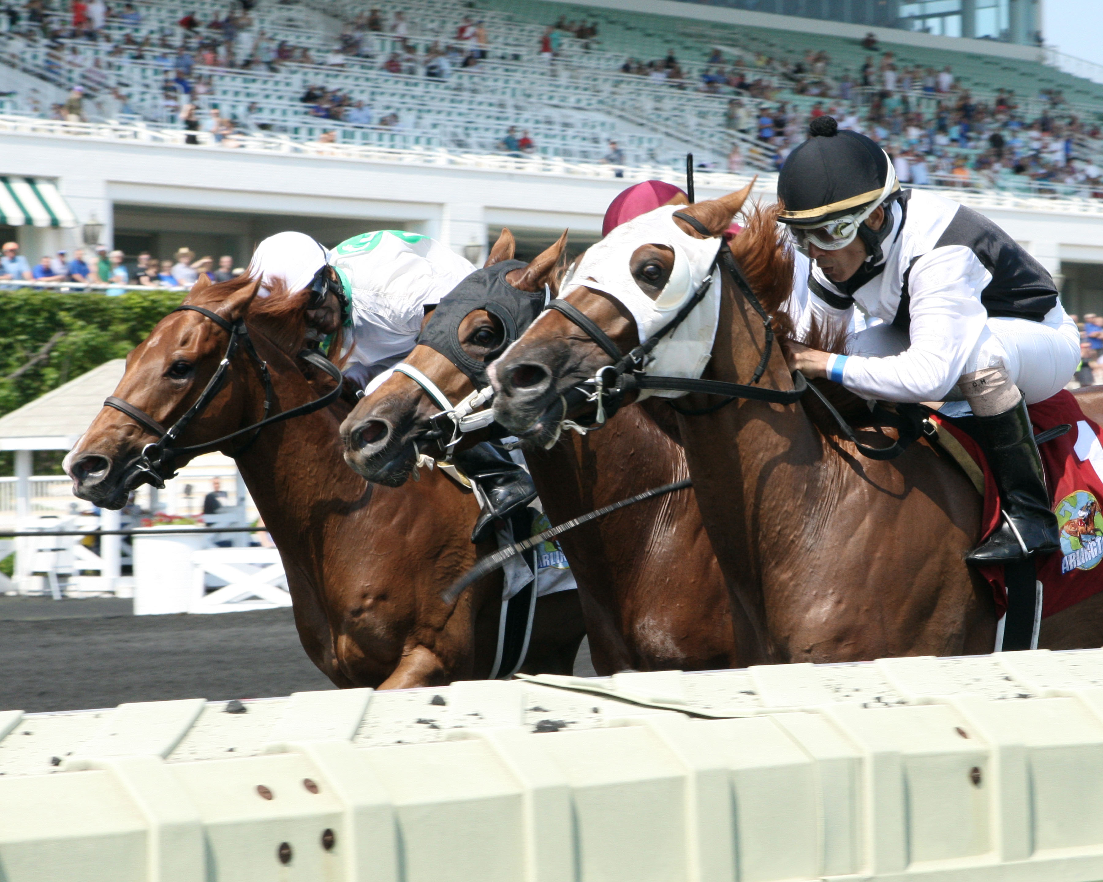 Chief Oakie Dokie wins 2018 Springfield Stakes