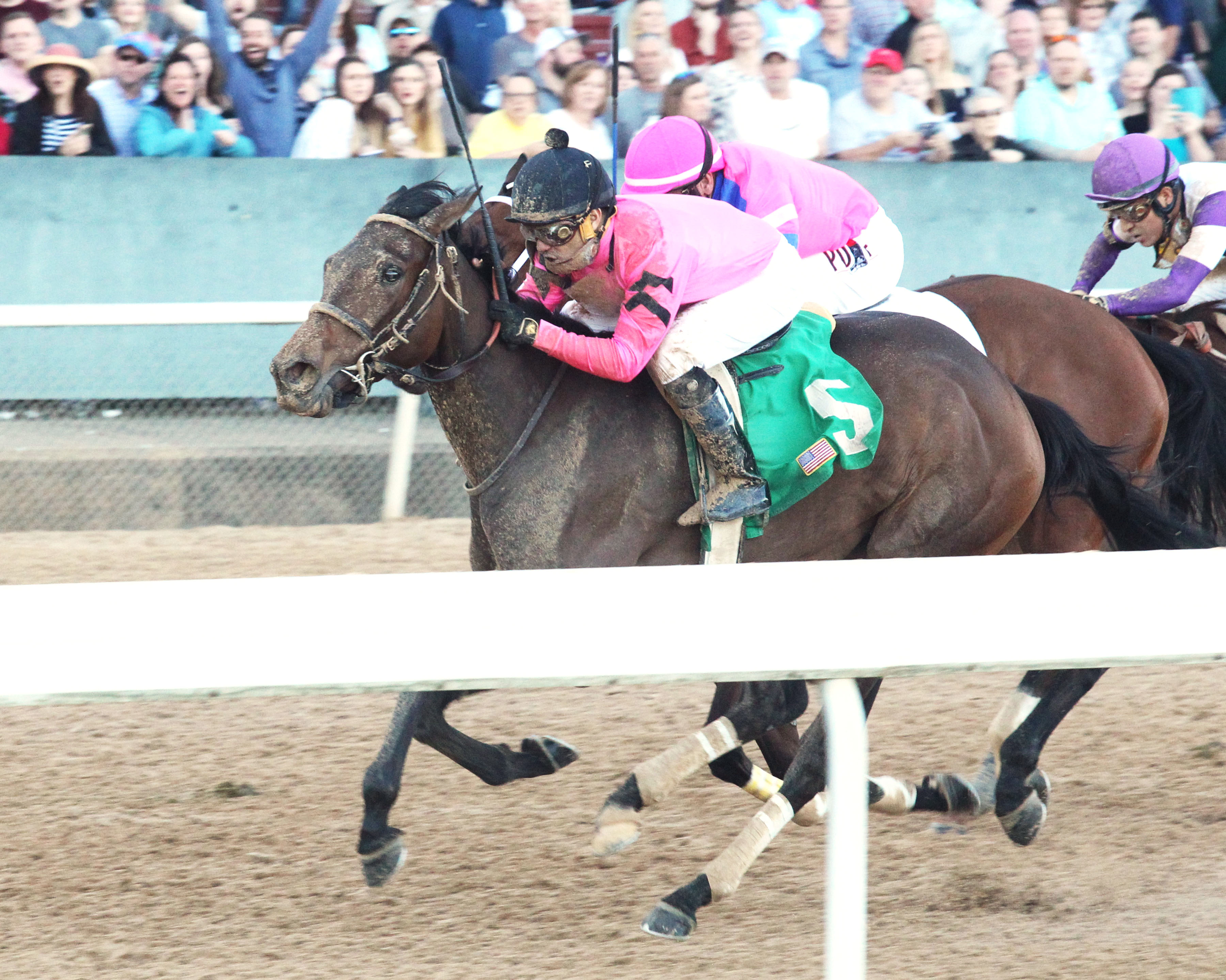 Chocolate Kisses wins 2019 Honeybee