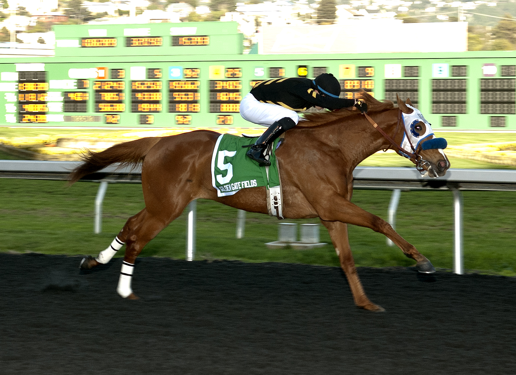 Choo Choo wins the 2018 California Derby