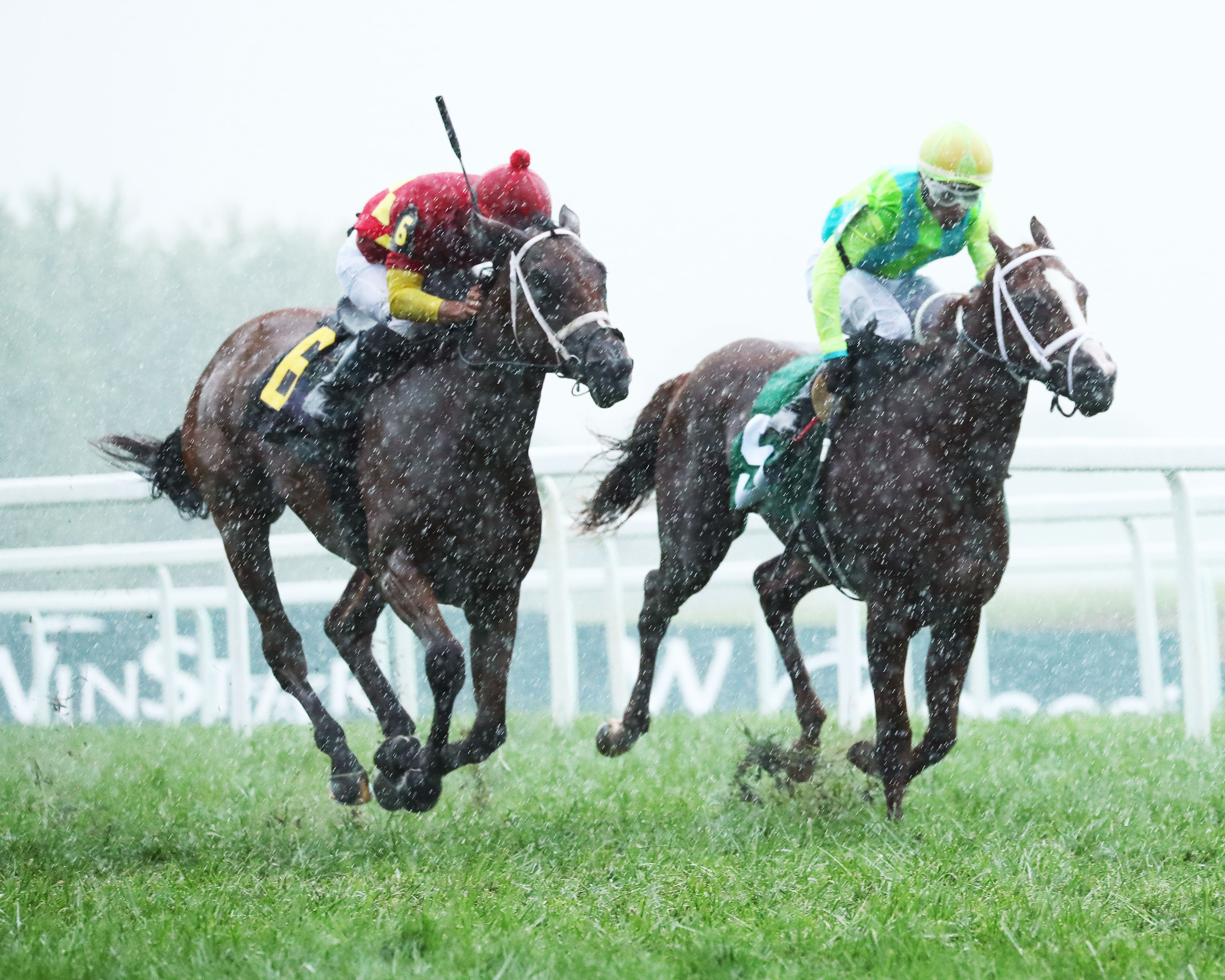 Chop Chop - KY Downs Juvenile Fillies 2022