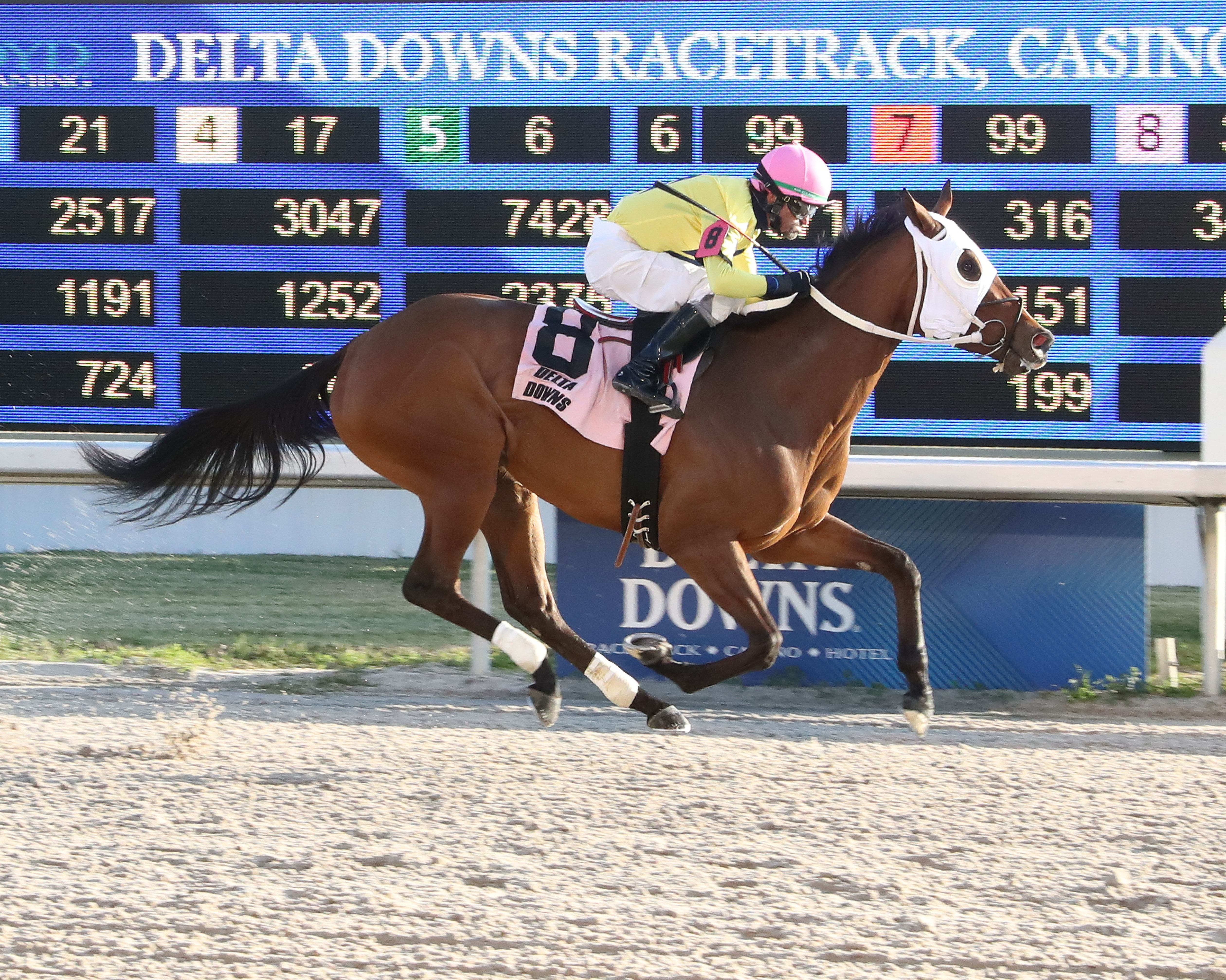 Cilla wins the Orleans at Delta Downs 1-7-2022