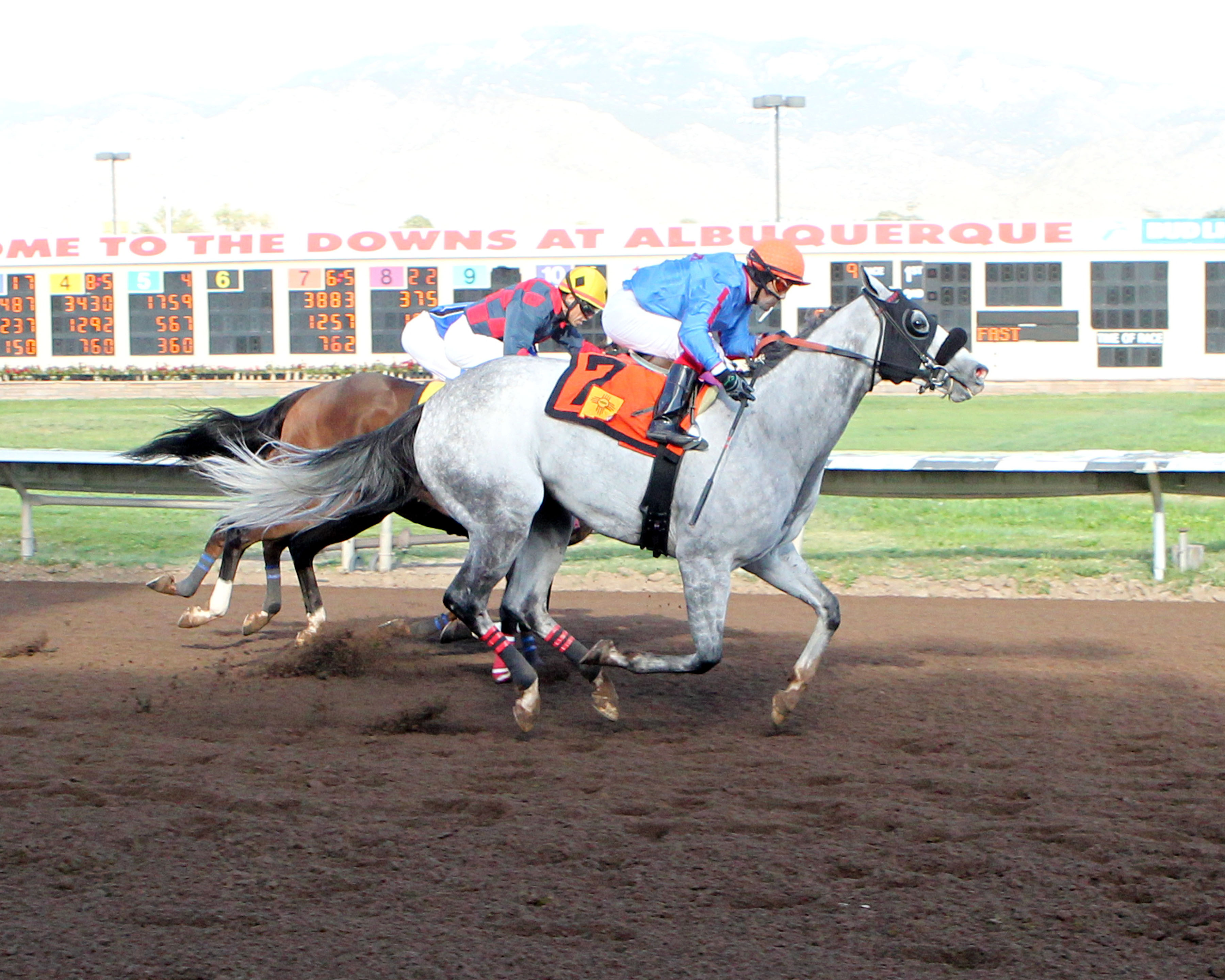 Citizen Geller (#7) wins the 2017 Casey Darnell Stakes